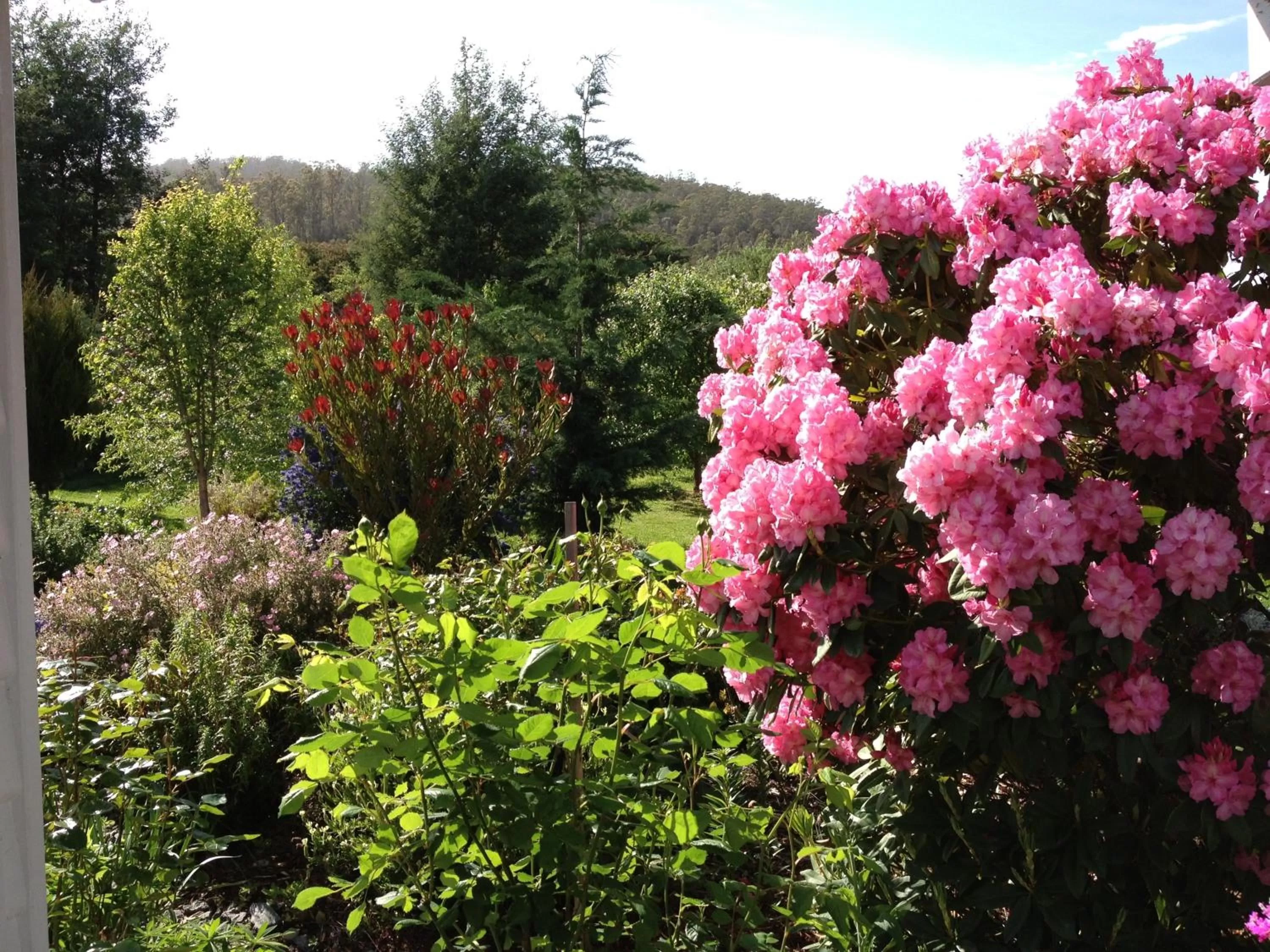 Spring in Hillside Bed and Breakfast