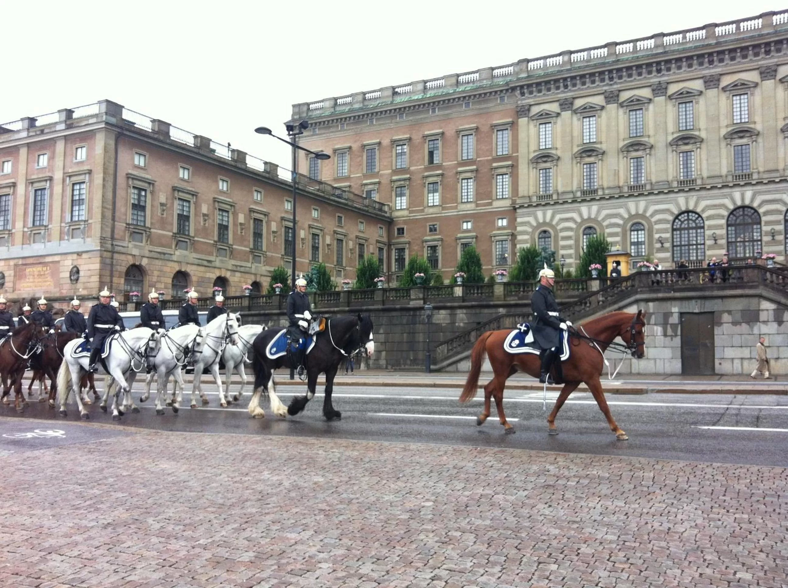 Area and facilities in Hotel Gamla Stan, BW Signature Collection