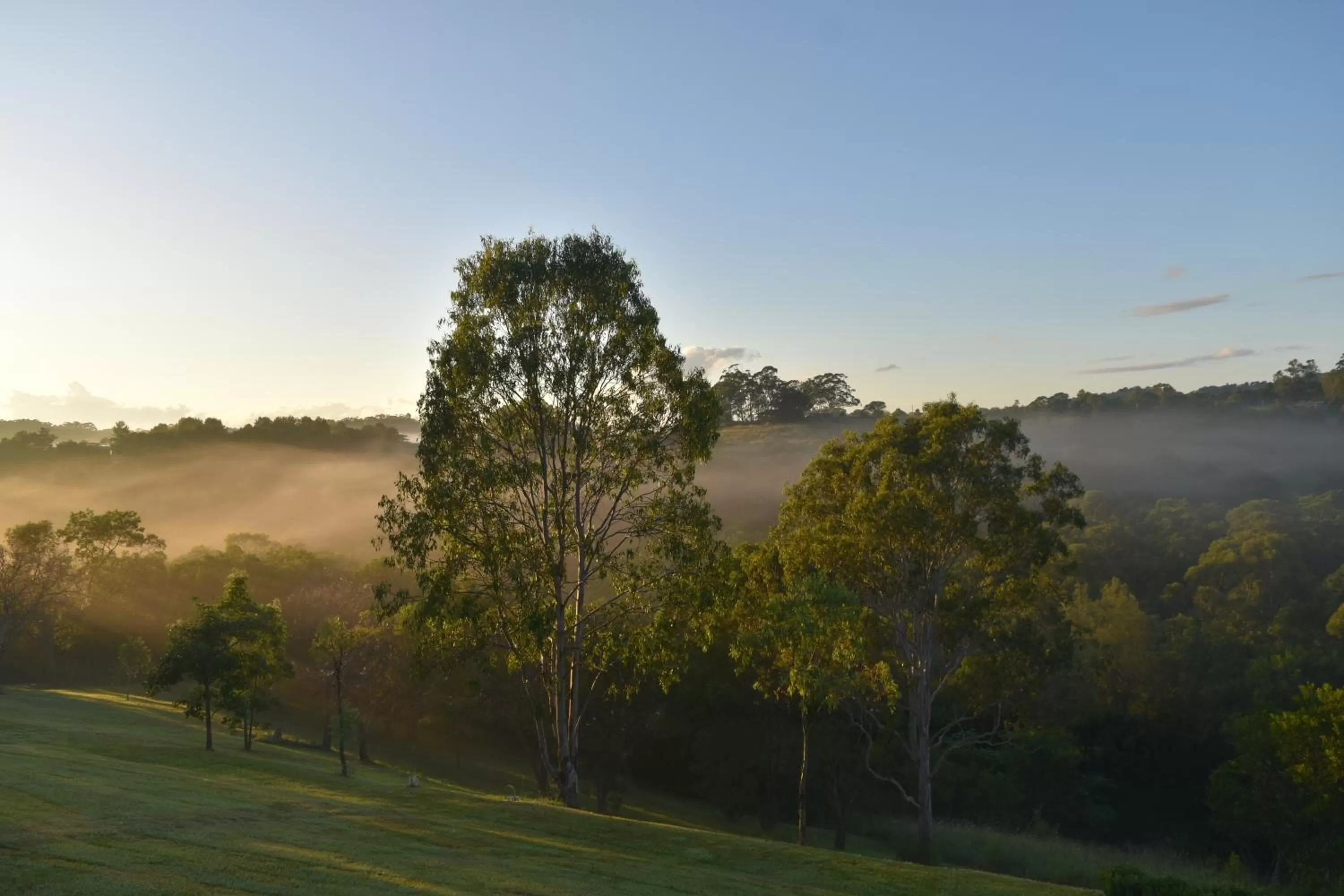 Natural landscape in Mapleton Springs