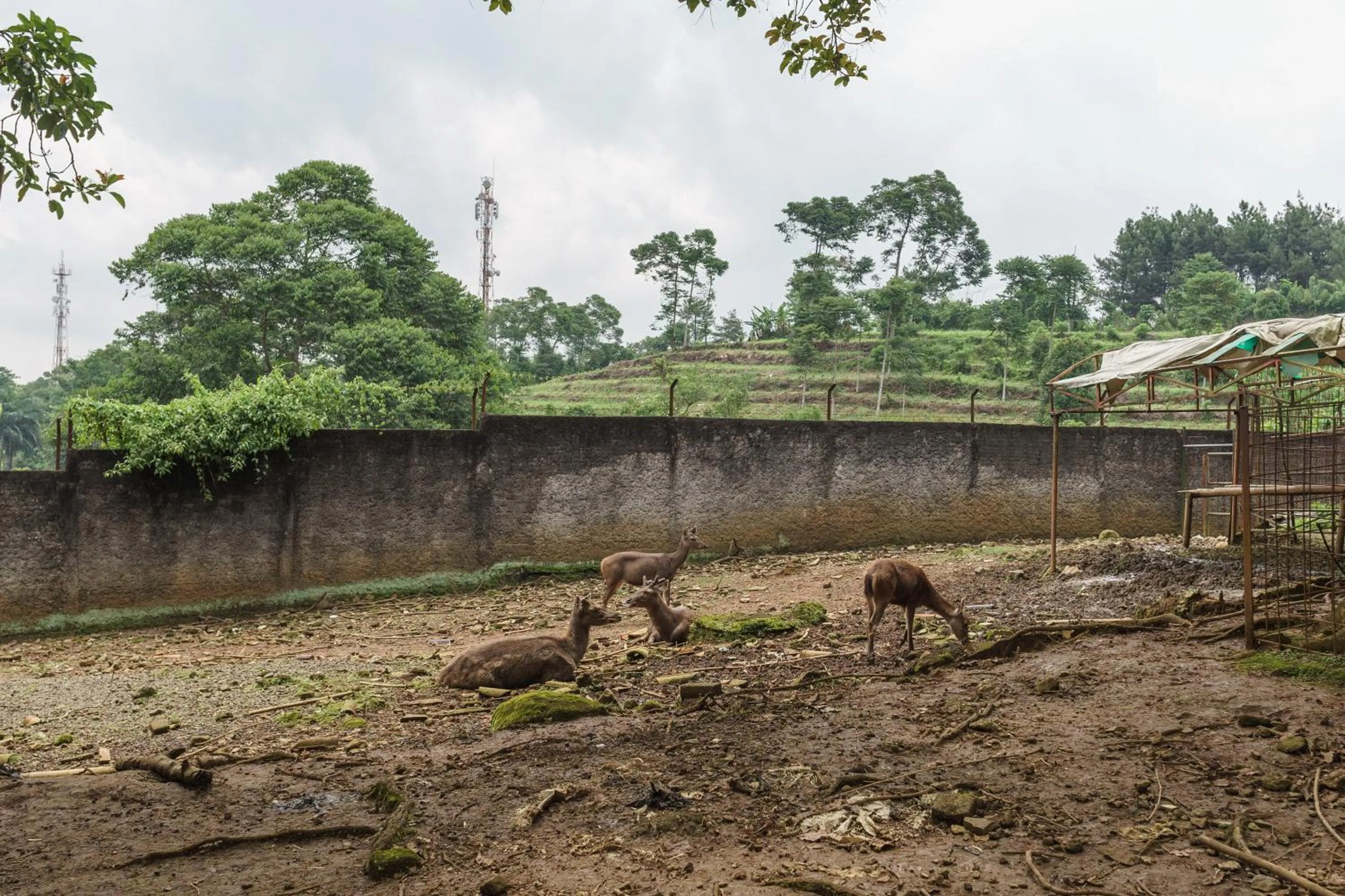 RedDoorz Plus at Hotel Negeri Baru Lodaya Puncak