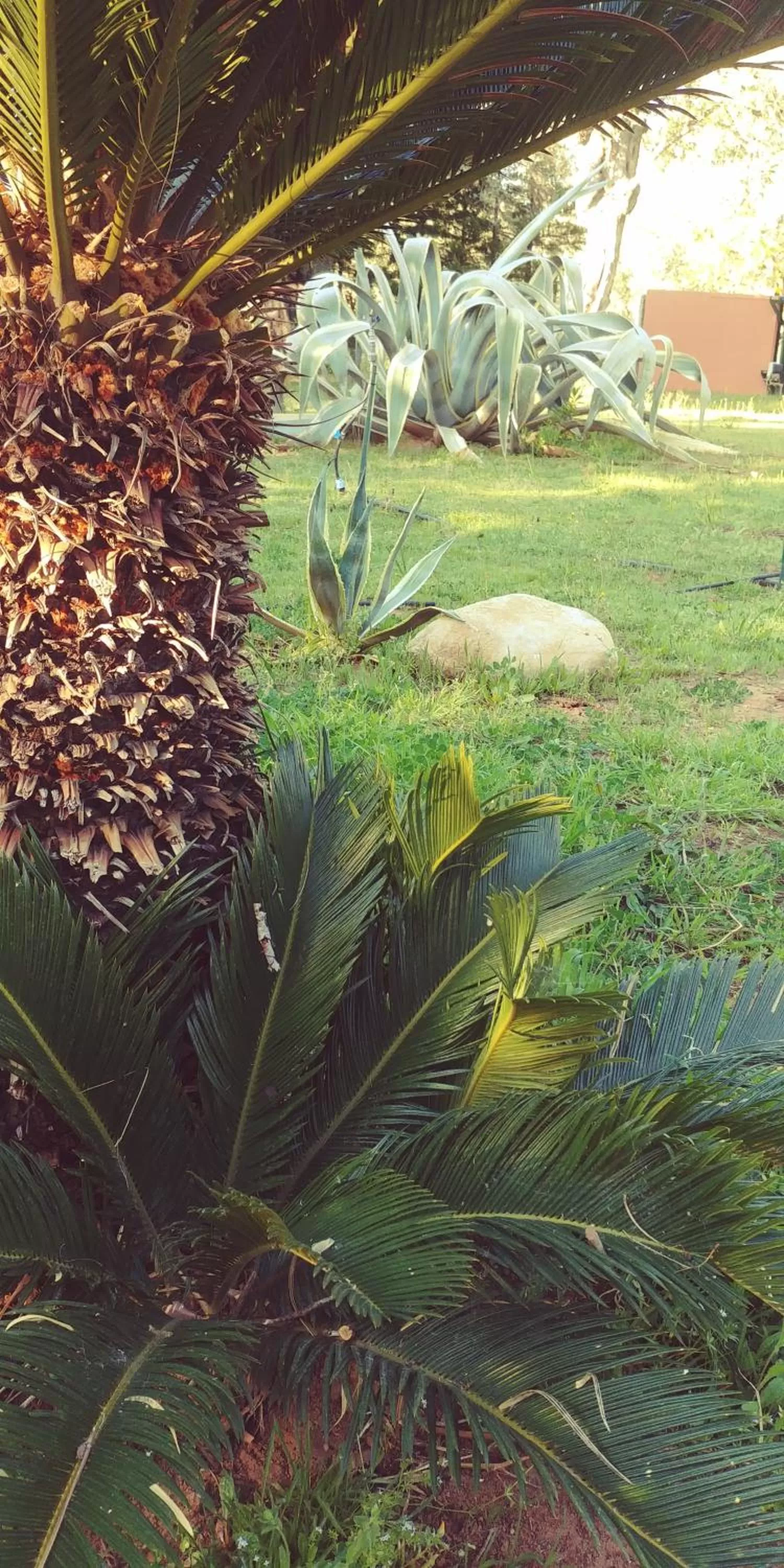 Garden in La Piana degli Ulivi