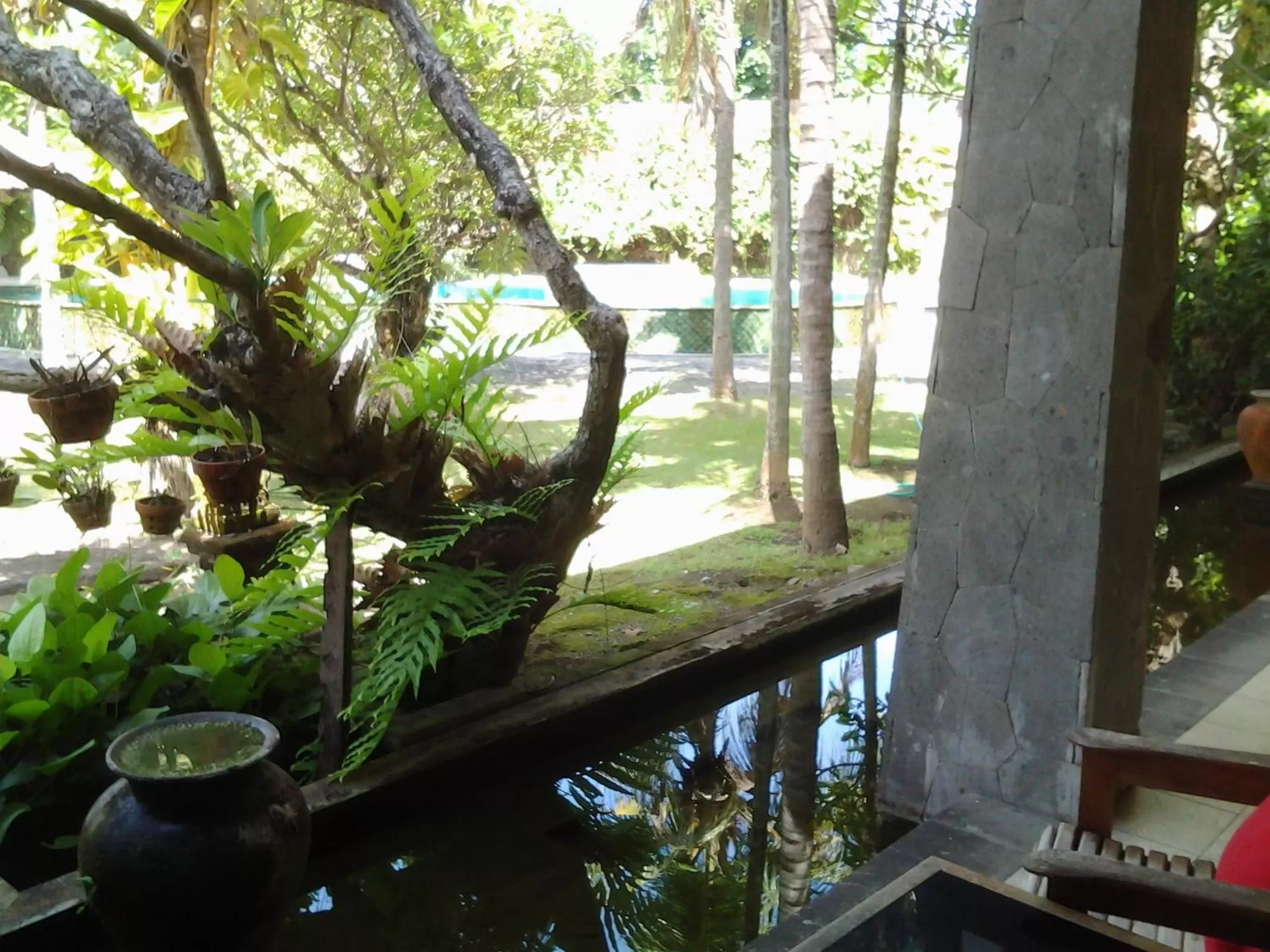 Garden in Nirwana Sea Side Cottages