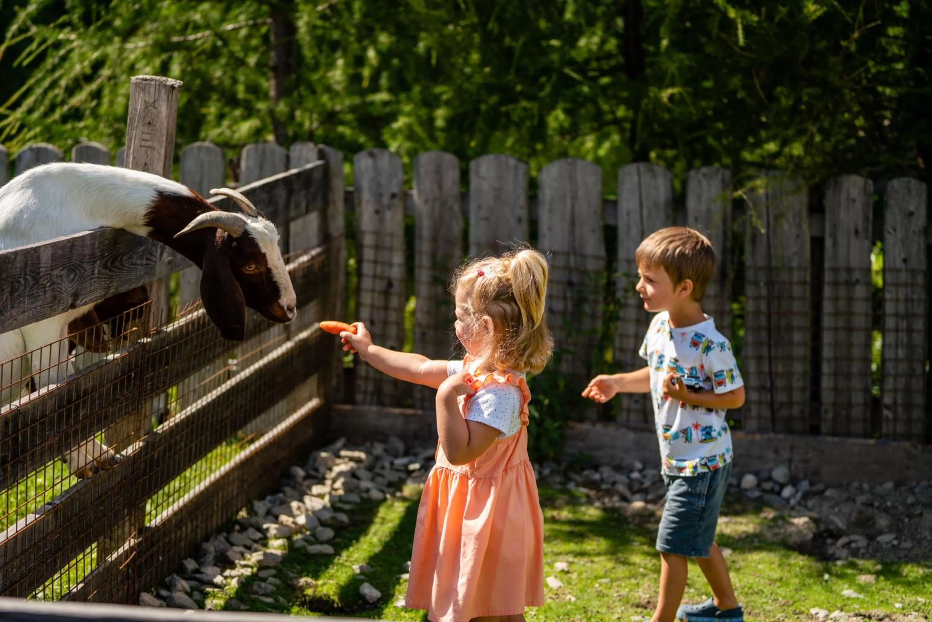 Children play ground in Almwelt Austria
