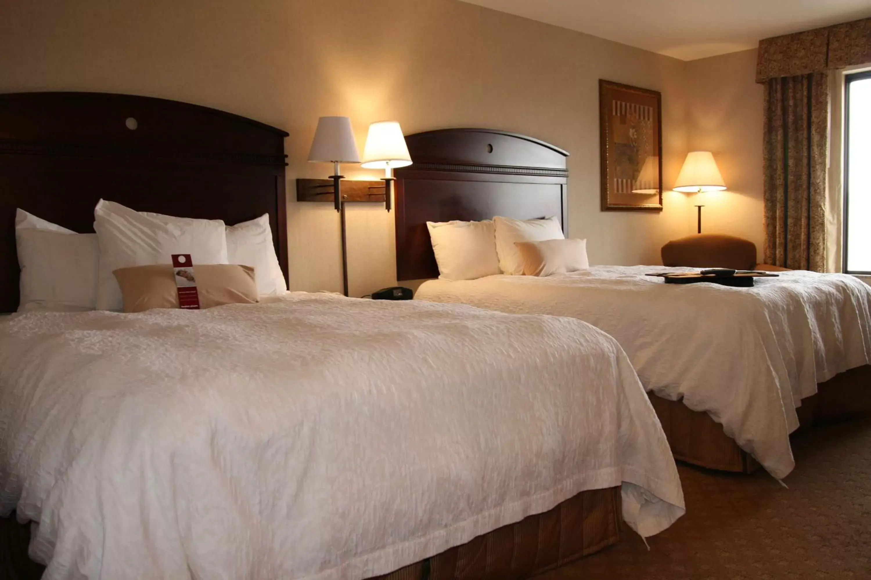 Room with Two Queen Beds - Non-Smoking in Hampton Inn & Suites Gallup Room with Two Queen Beds - Non-Smoking in Hampton Inn & Suites Gallup