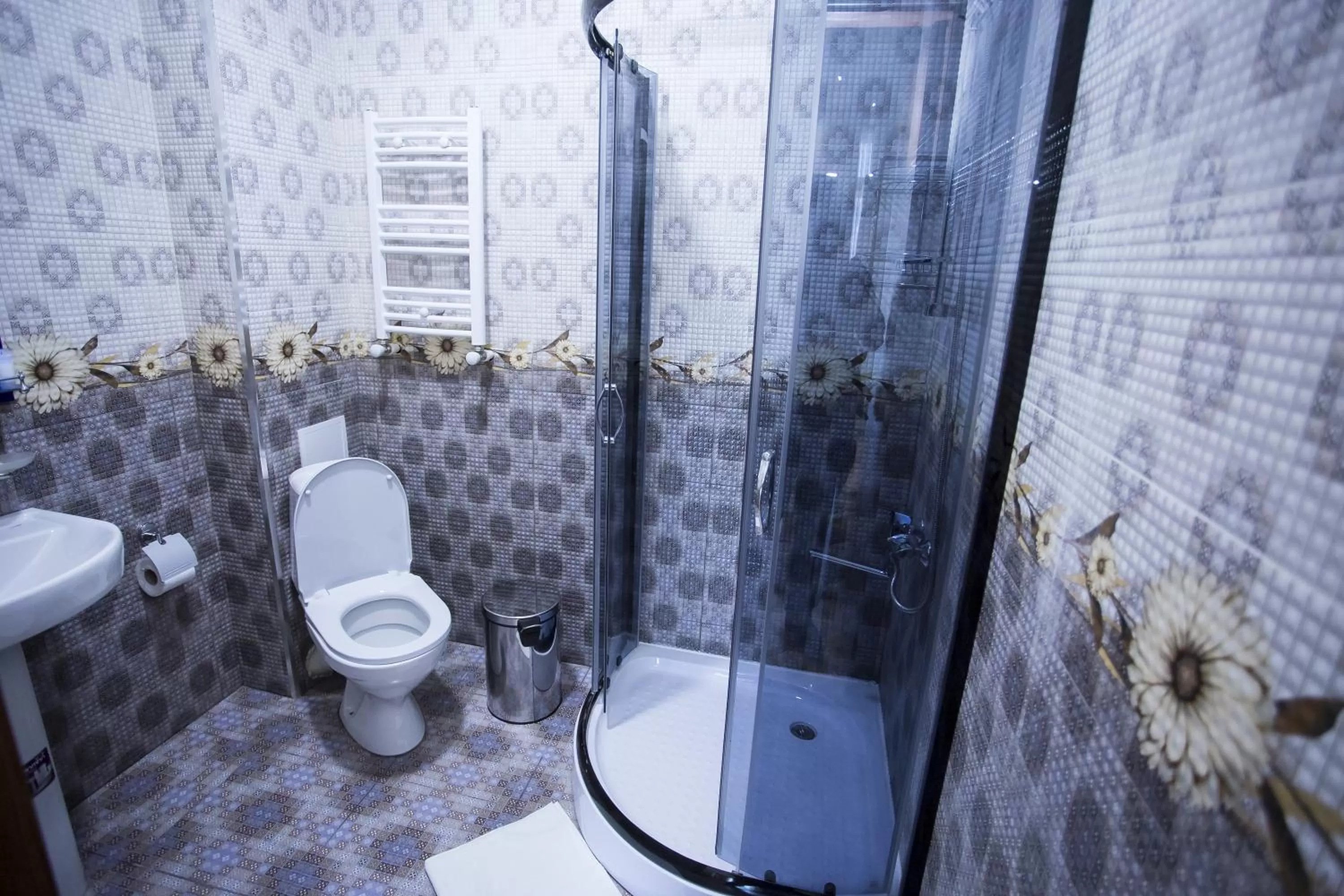 Shower, Bathroom in Hotel Garanti