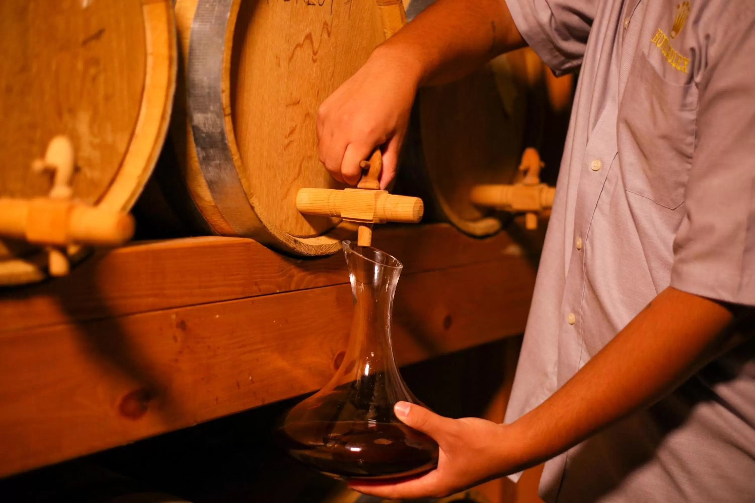 Food and drinks in Hotel Rolex