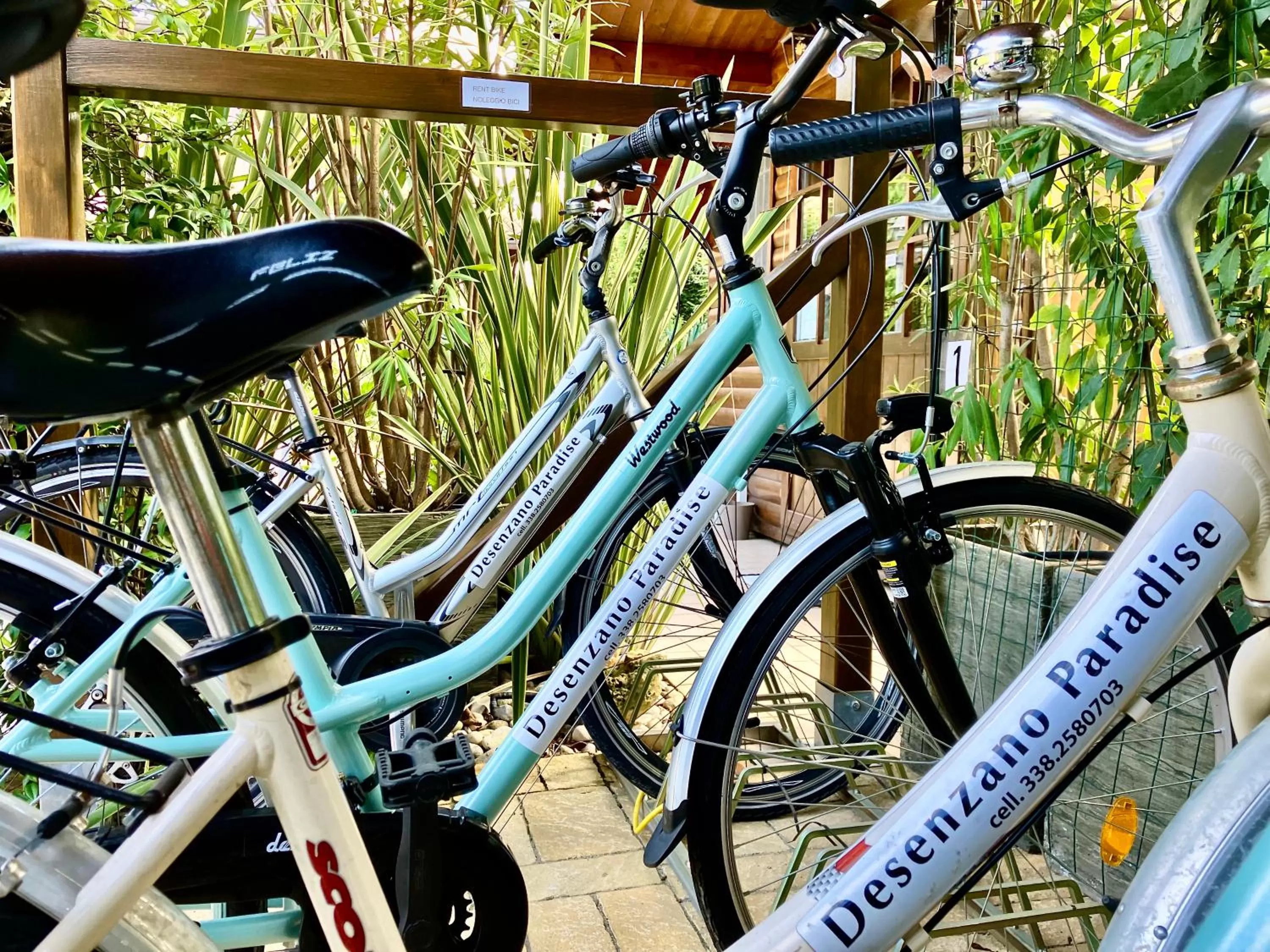 Cycling in B&B Desenzano Paradise