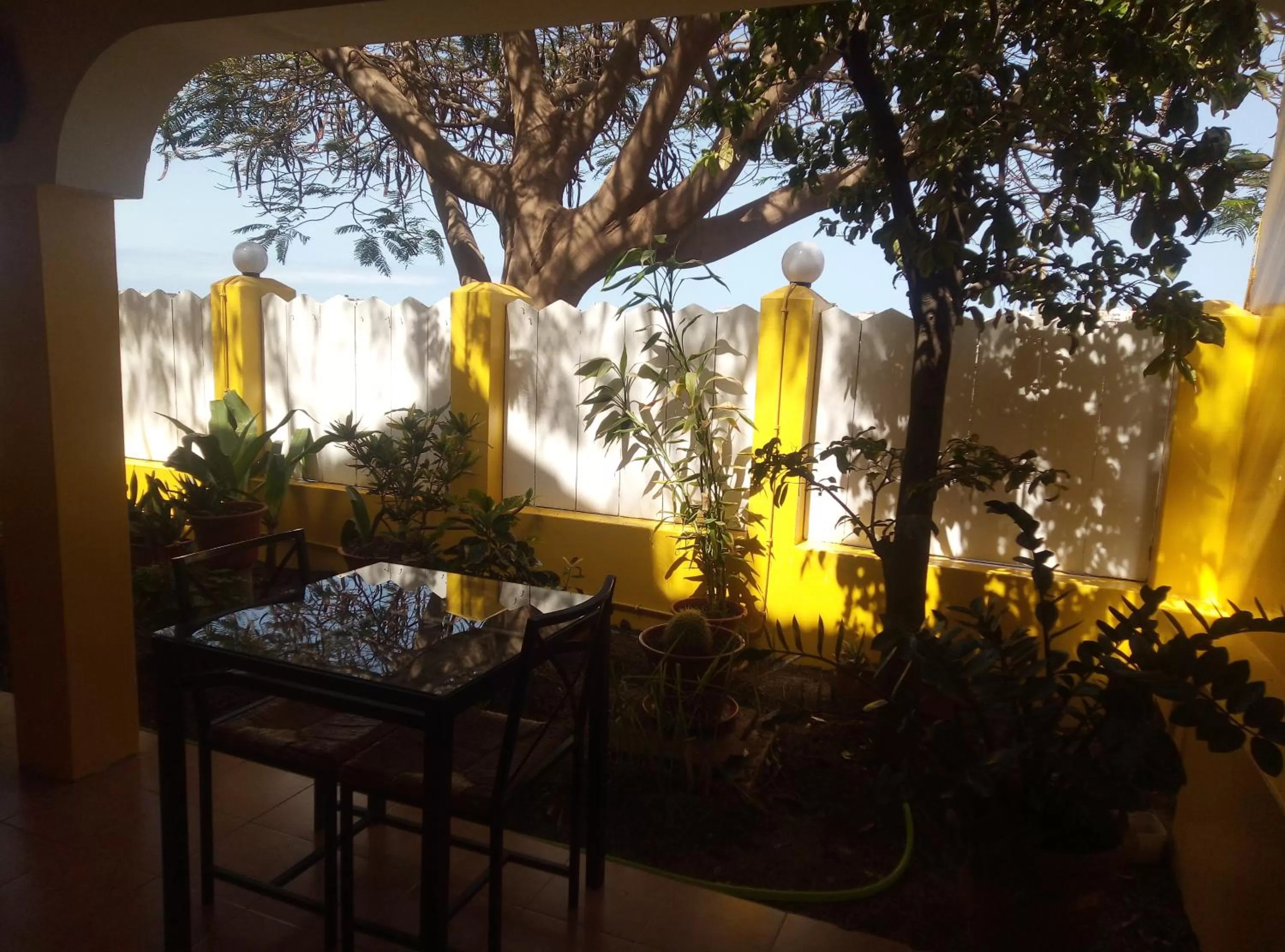 Day, Restaurant/Places to Eat in O Jardim do Vinho