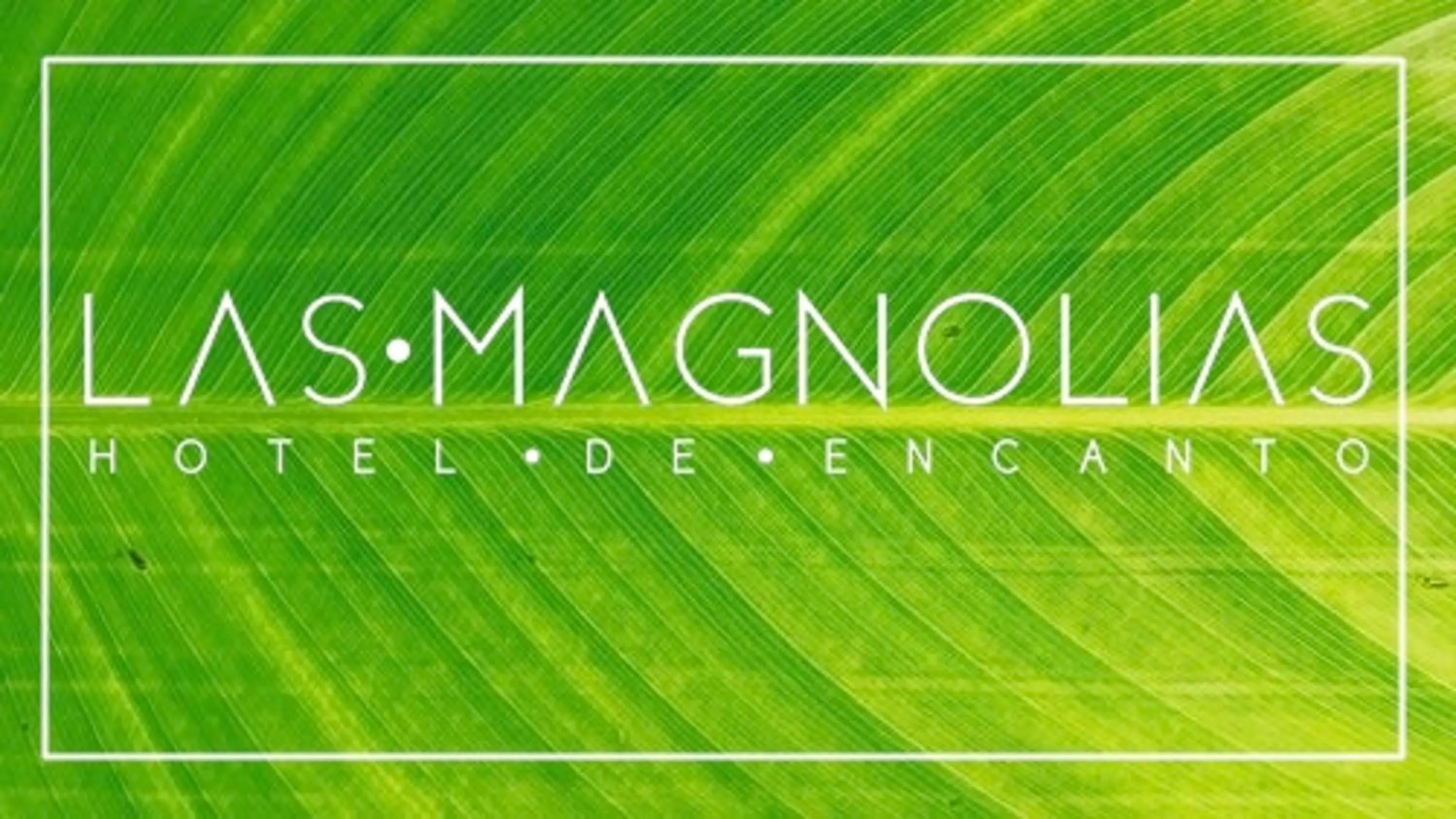 Las Magnolias Hotel Boutique