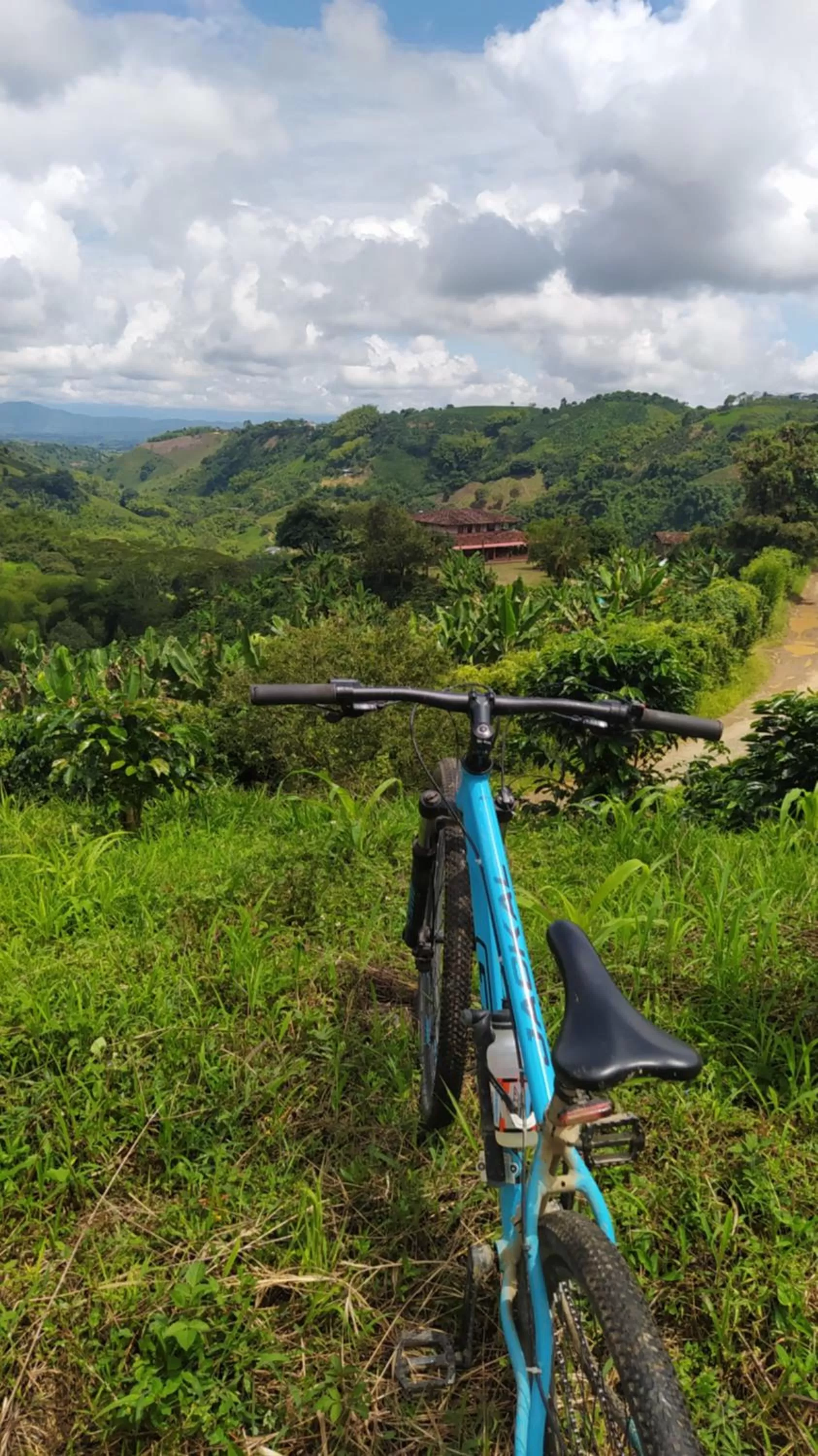 Natural landscape in Villa Cristina - Casa Boutique