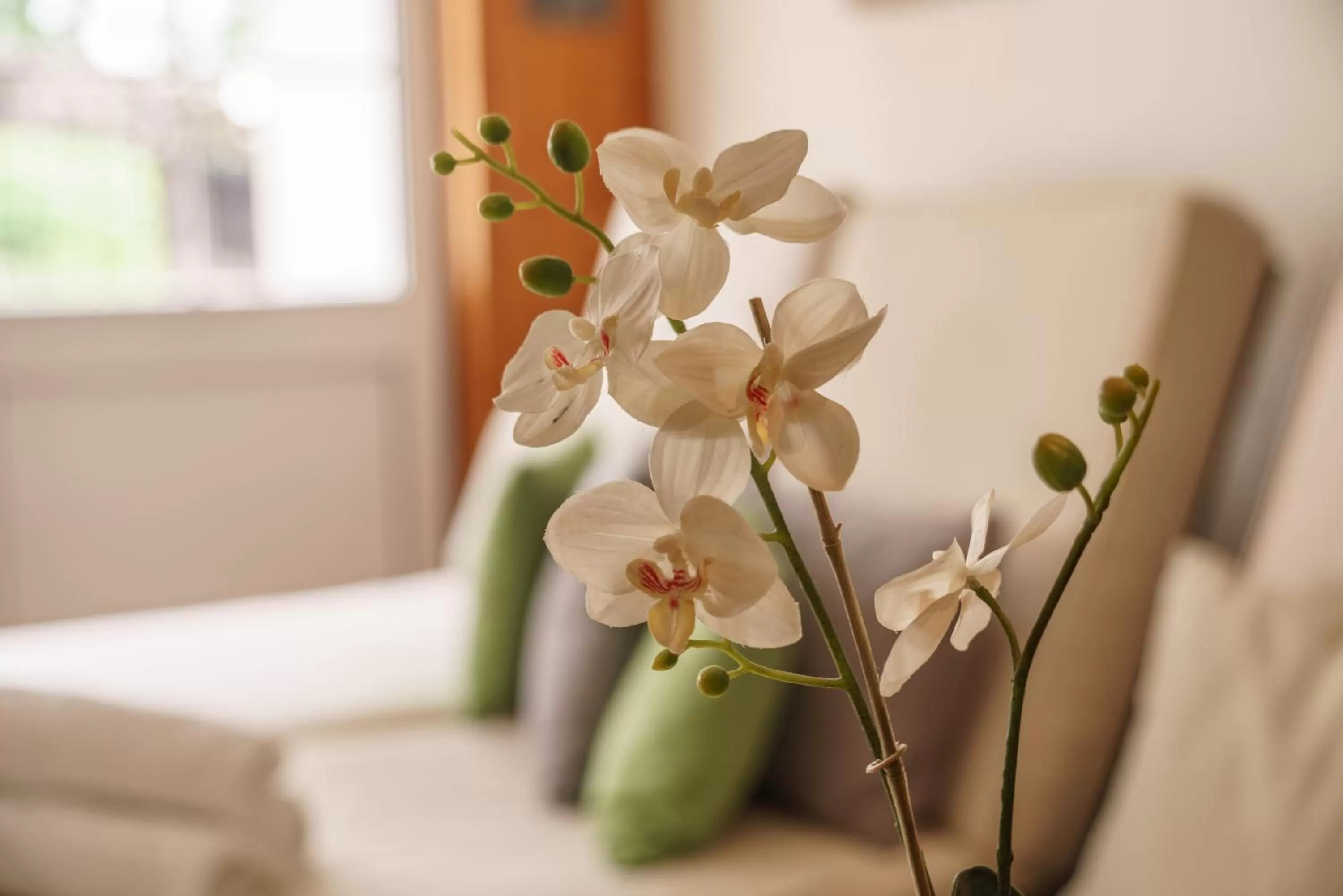 Sauna in Naturhotel Lärchenhof