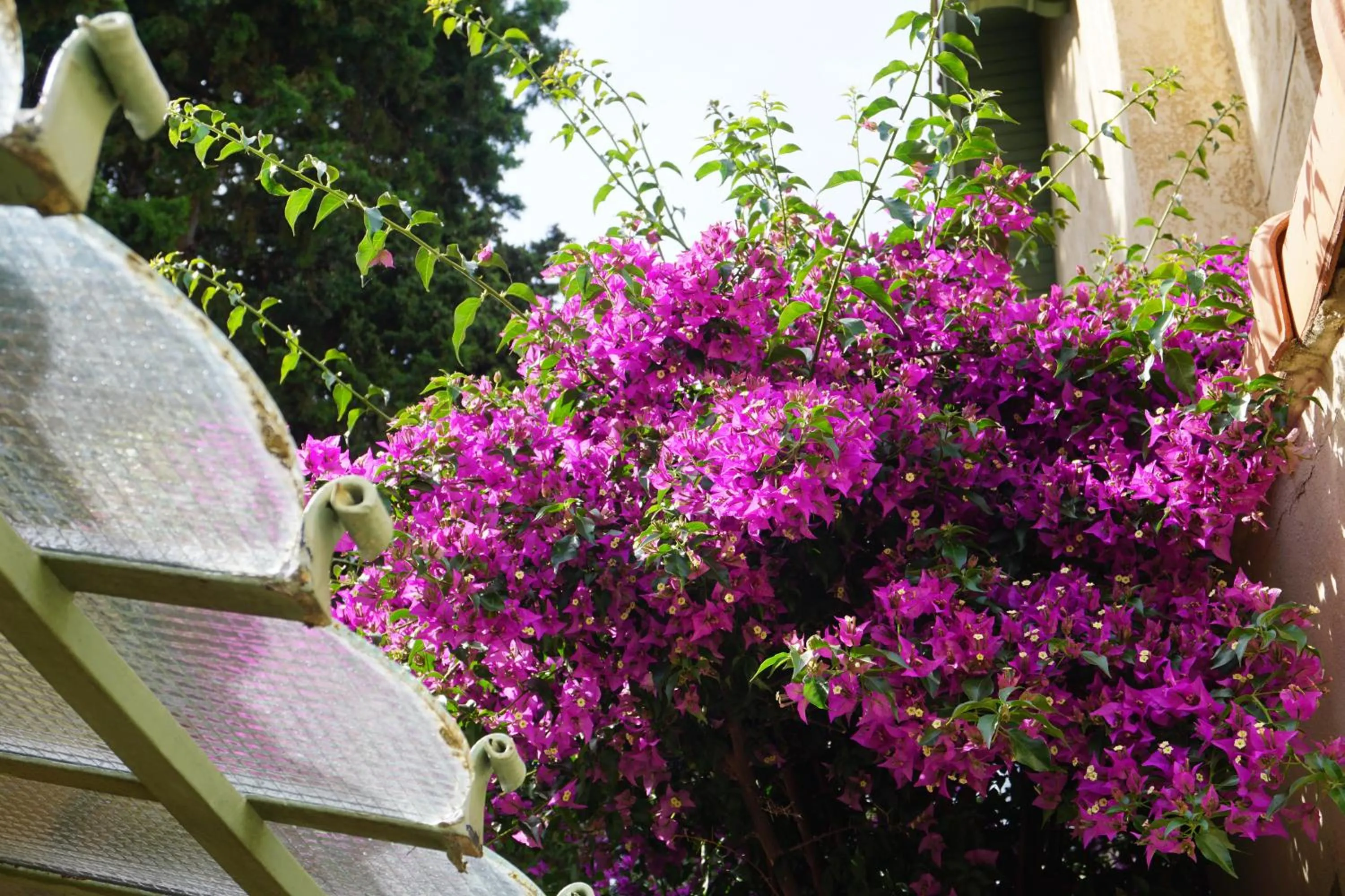 Garden view in Hotel Le Ponteil