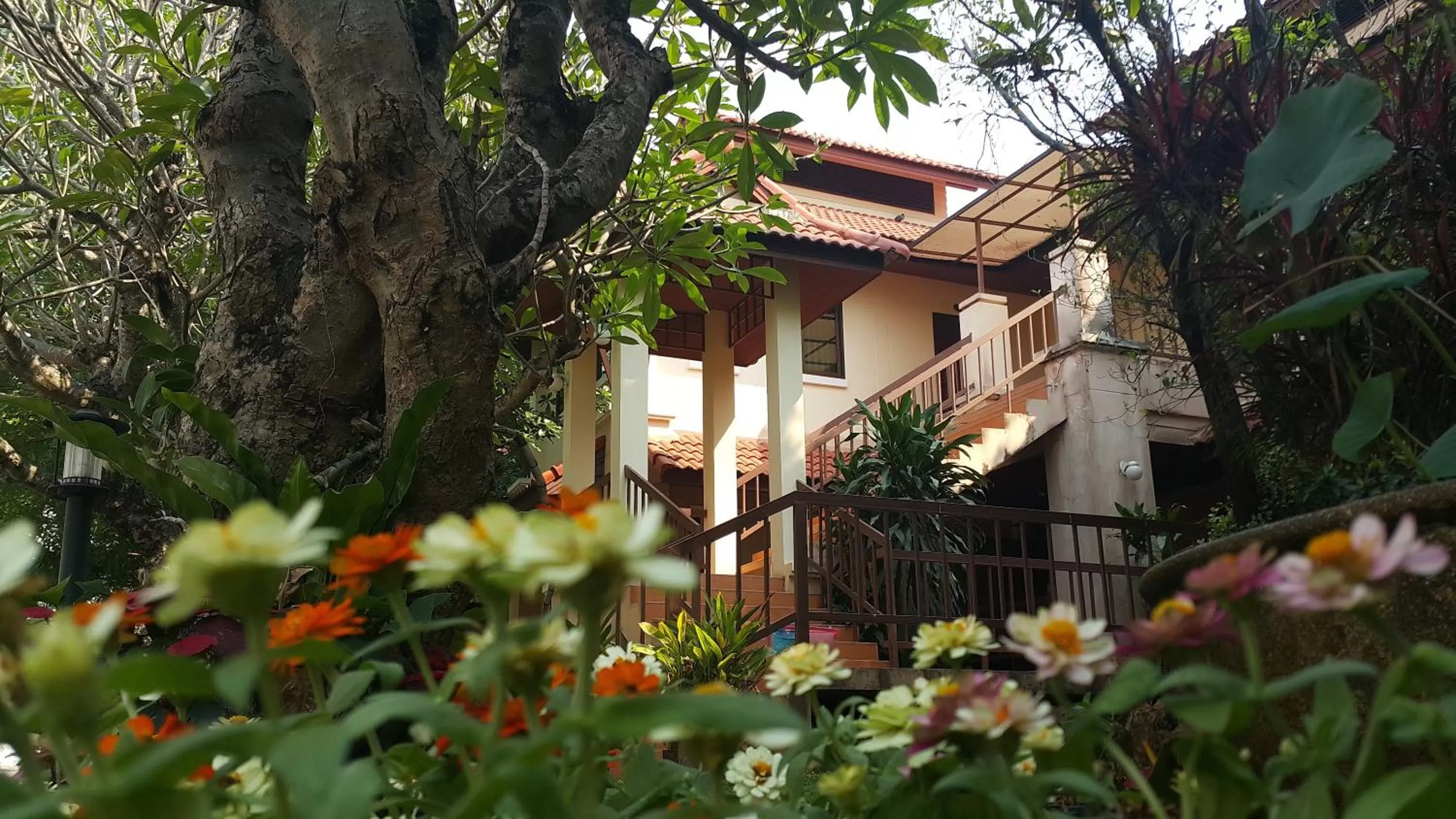 Property building in Areena Resort and Hotel Uttaradit