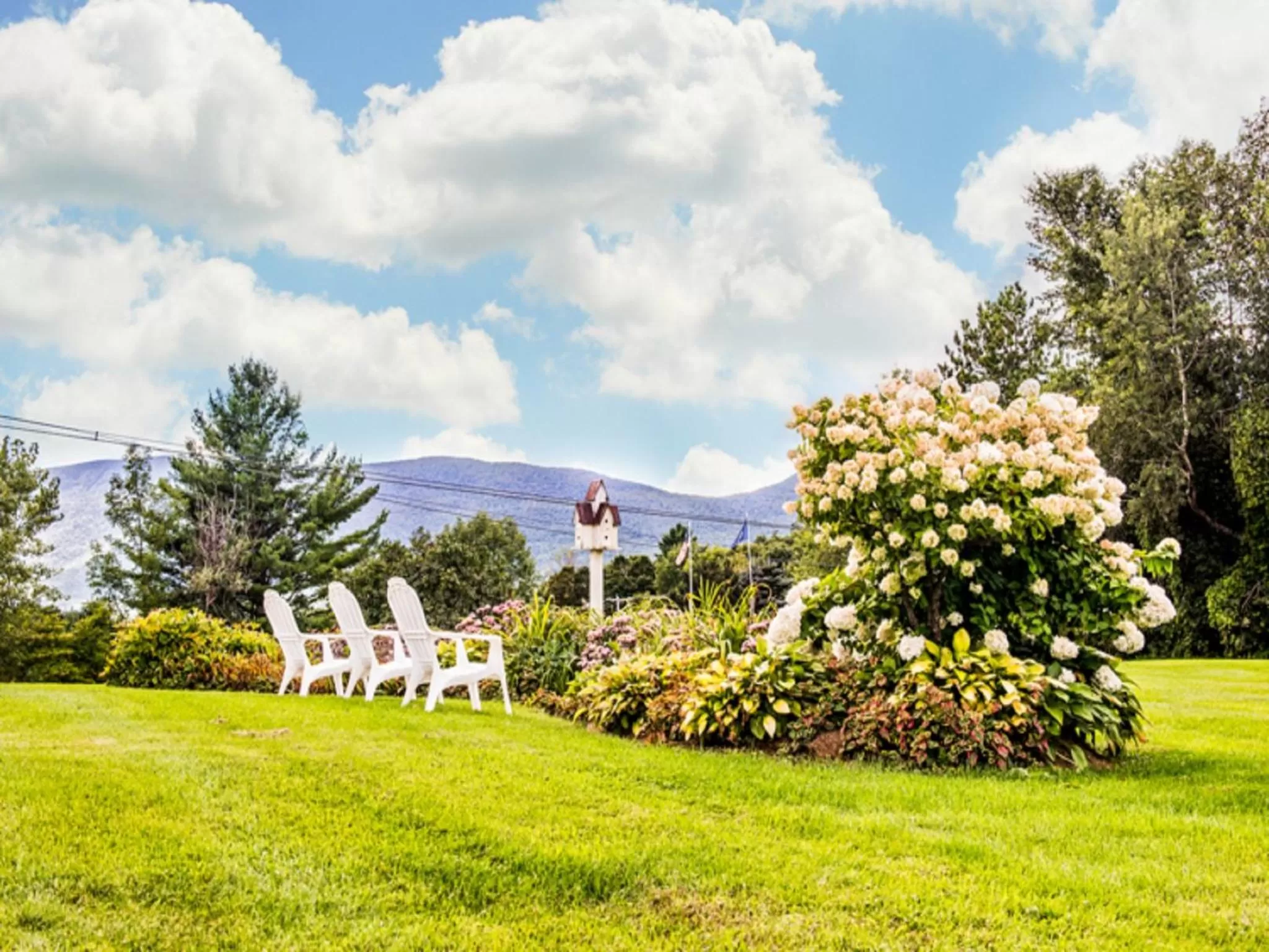 Garden in Manchester View