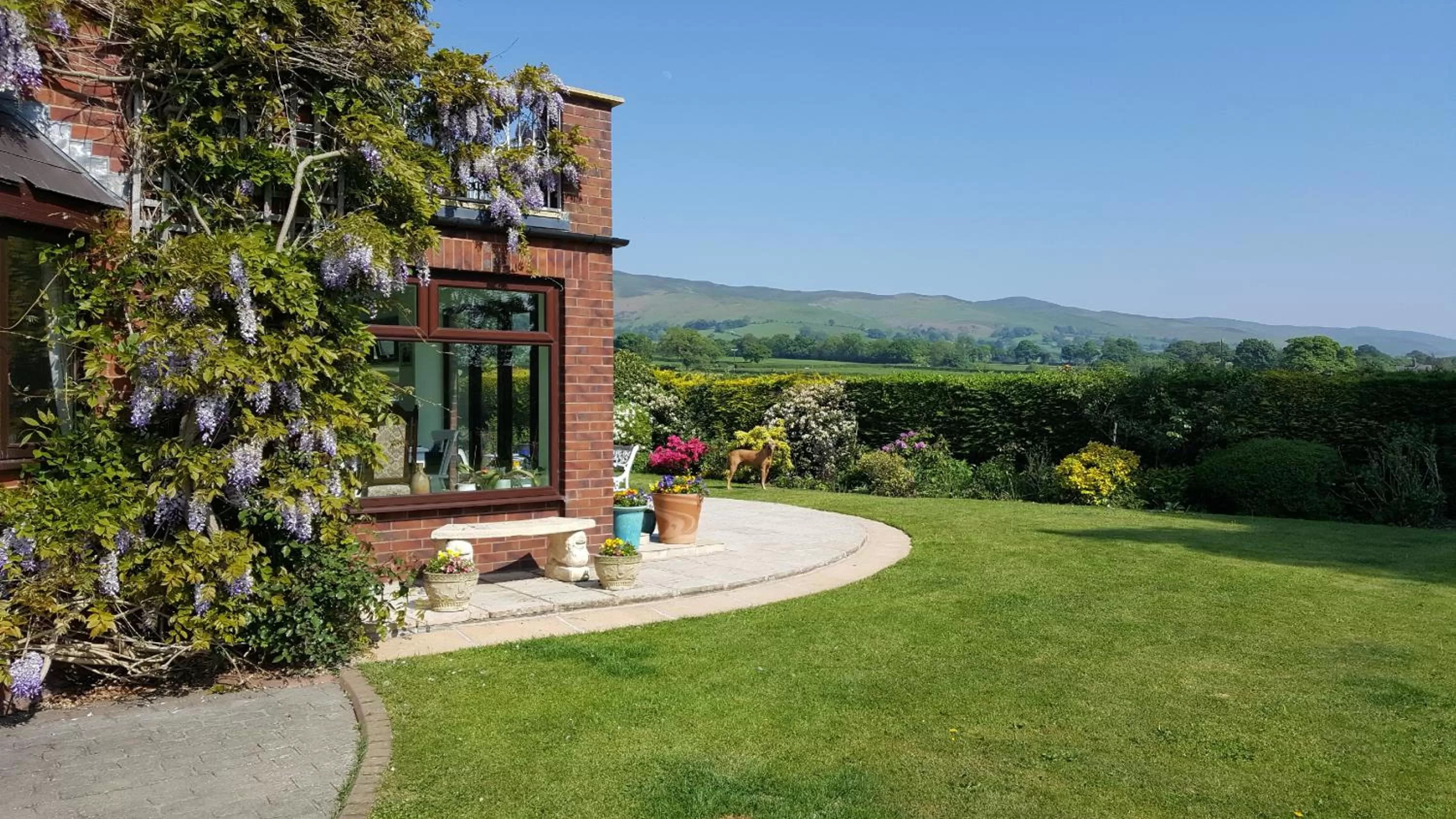 Garden in Tall Trees