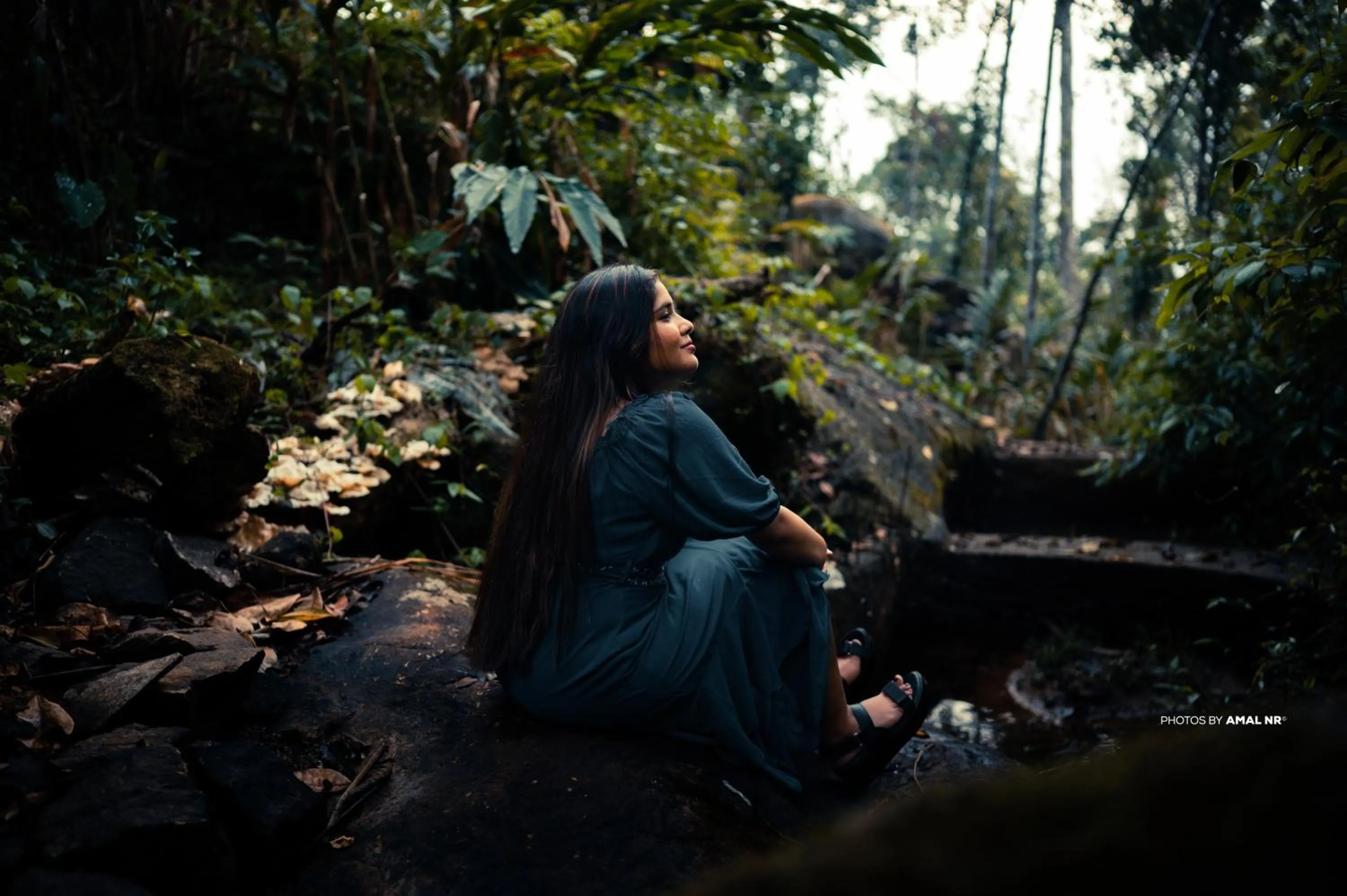 Natural landscape in Parakkat Nature Resort