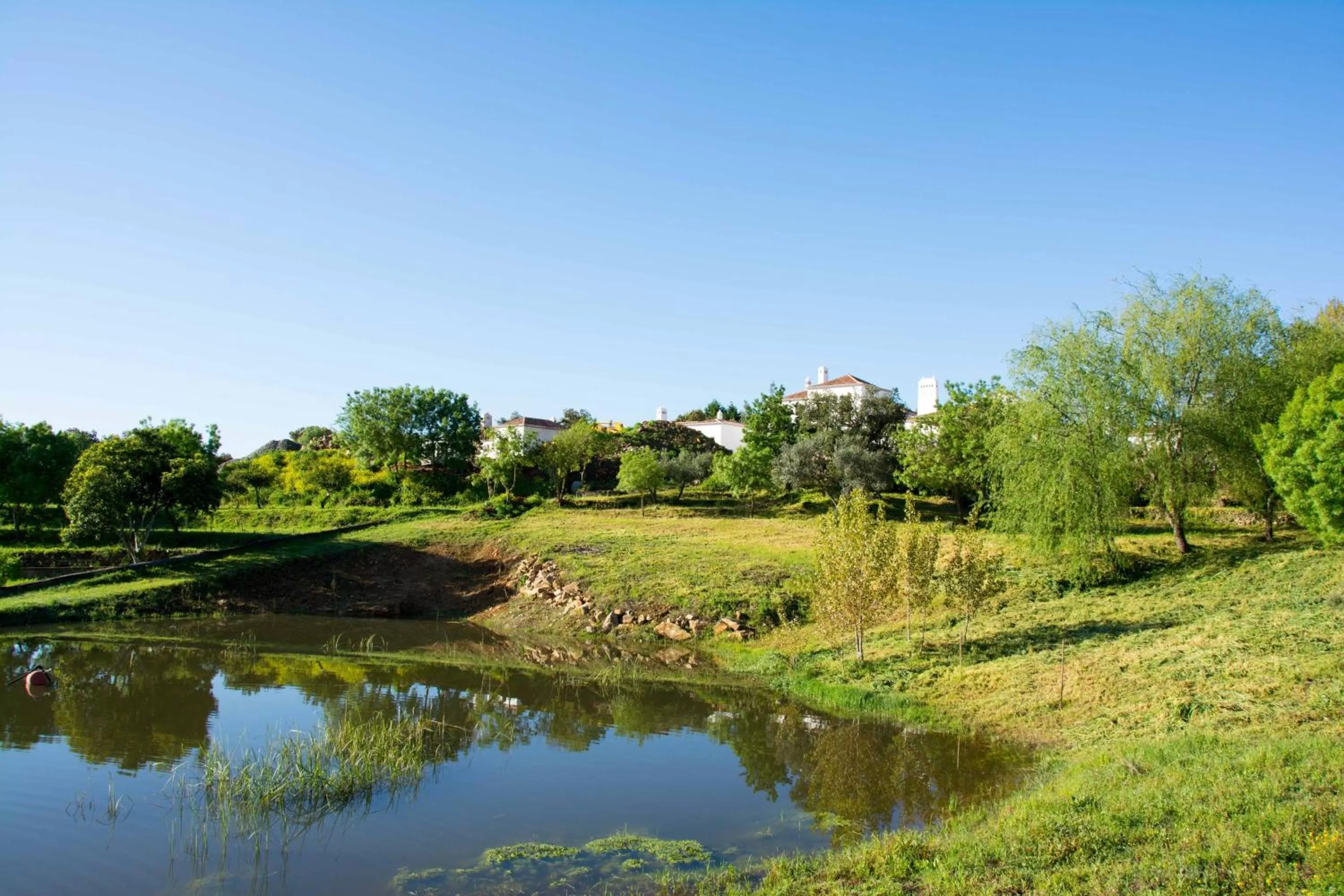 Garden in Hotel Rural Monte da Provença