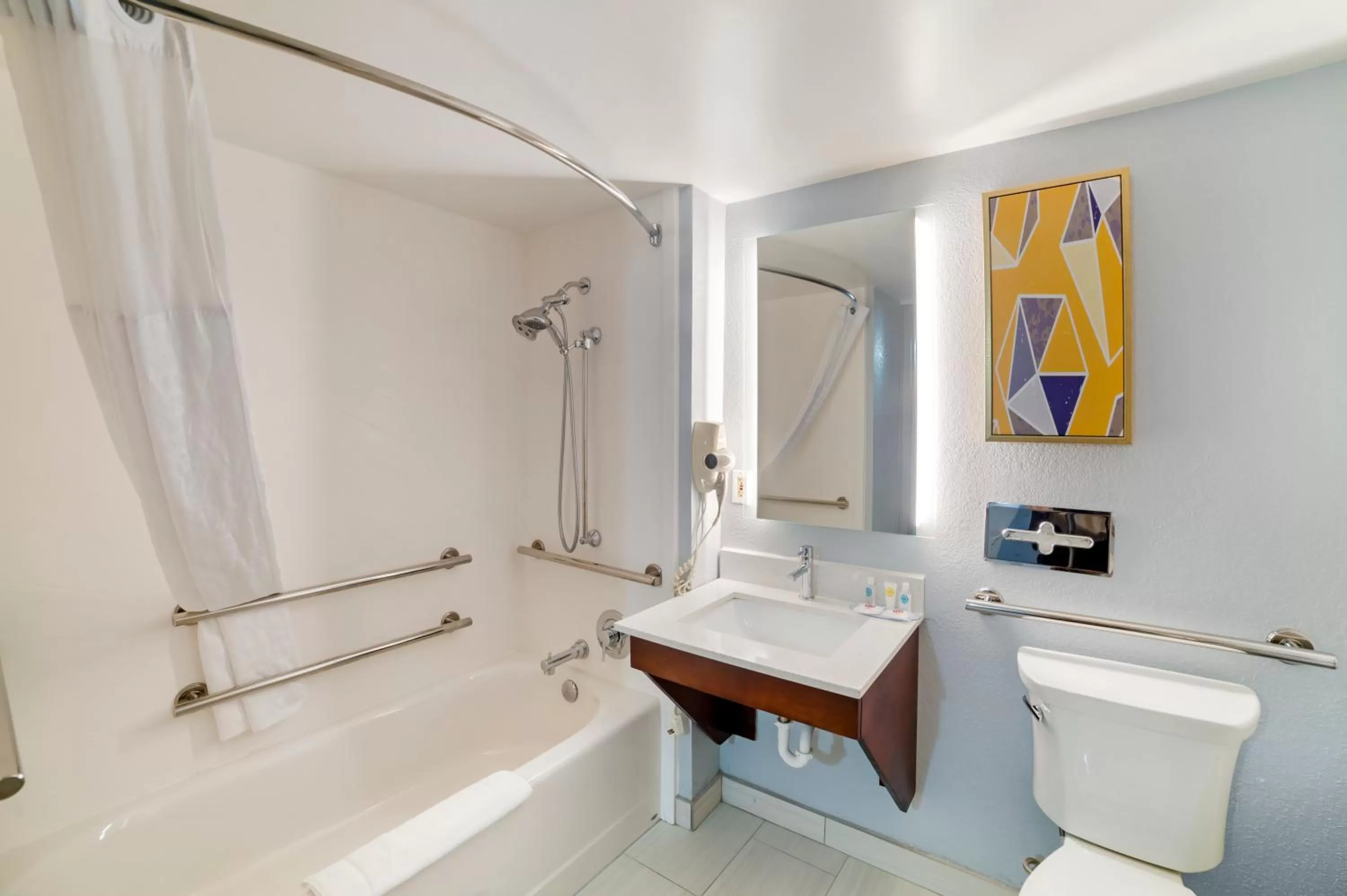 Bath in Comfort Inn Asheville Airport