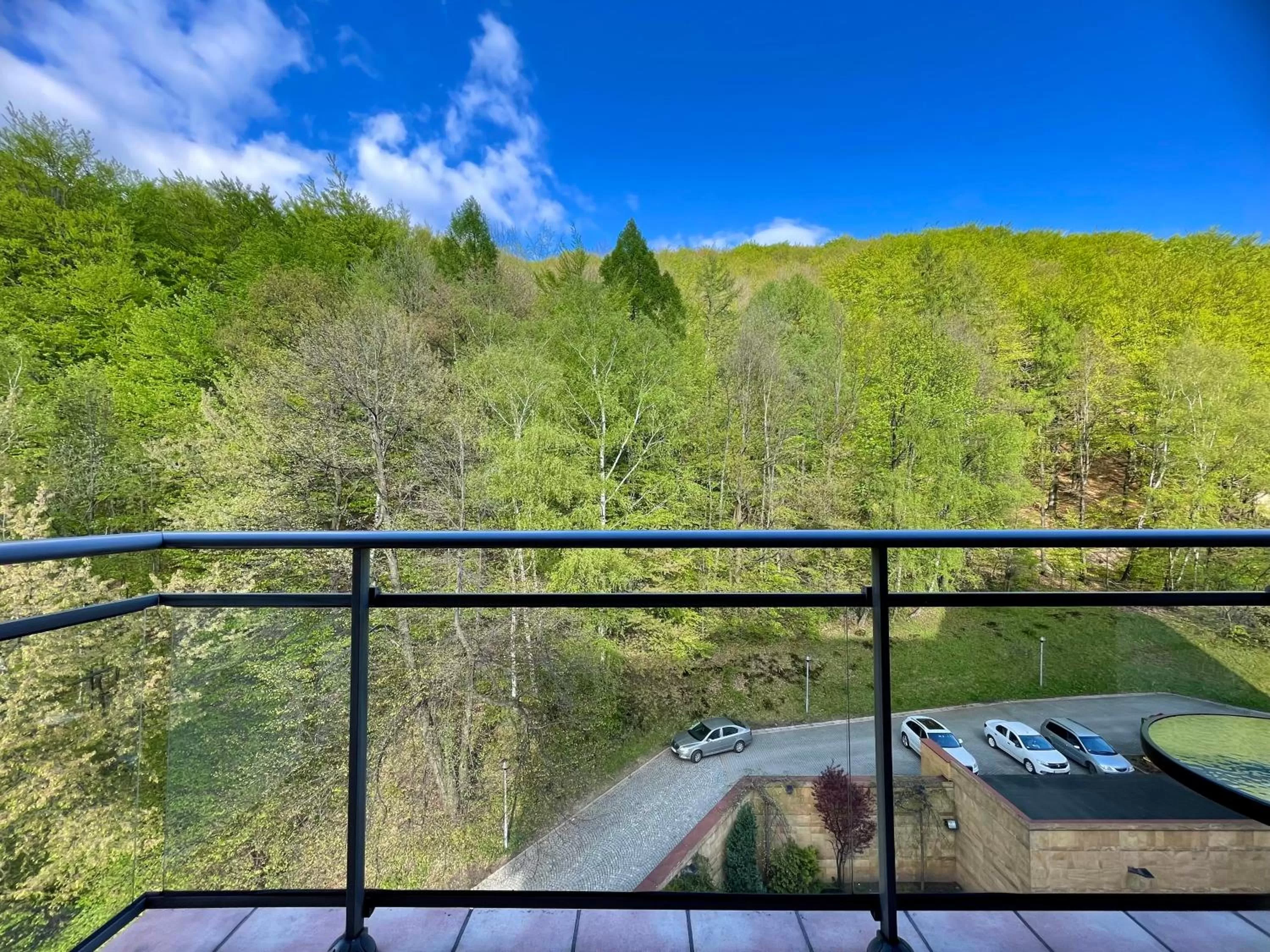 View (from property/room) in Hotel Belweder