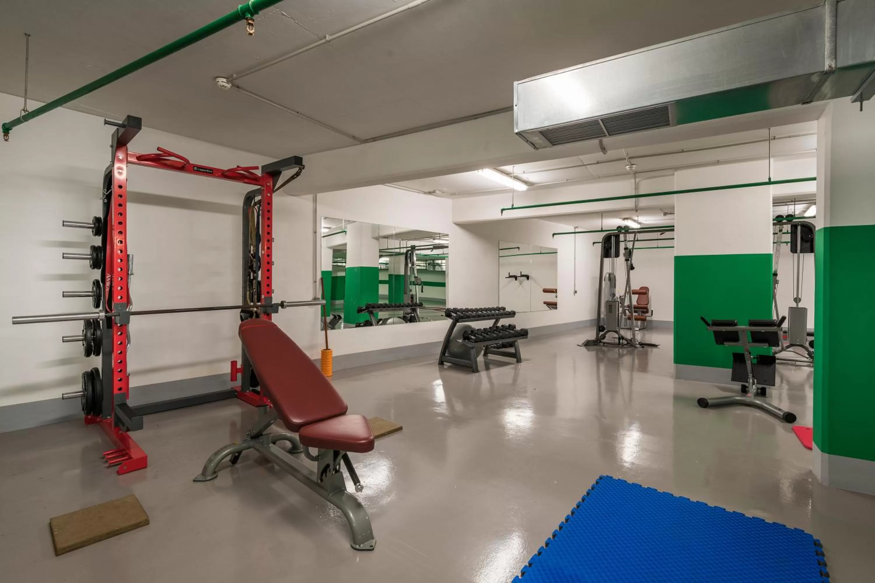 Fitness centre/facilities in Trianon Luxury Apartments & Suites