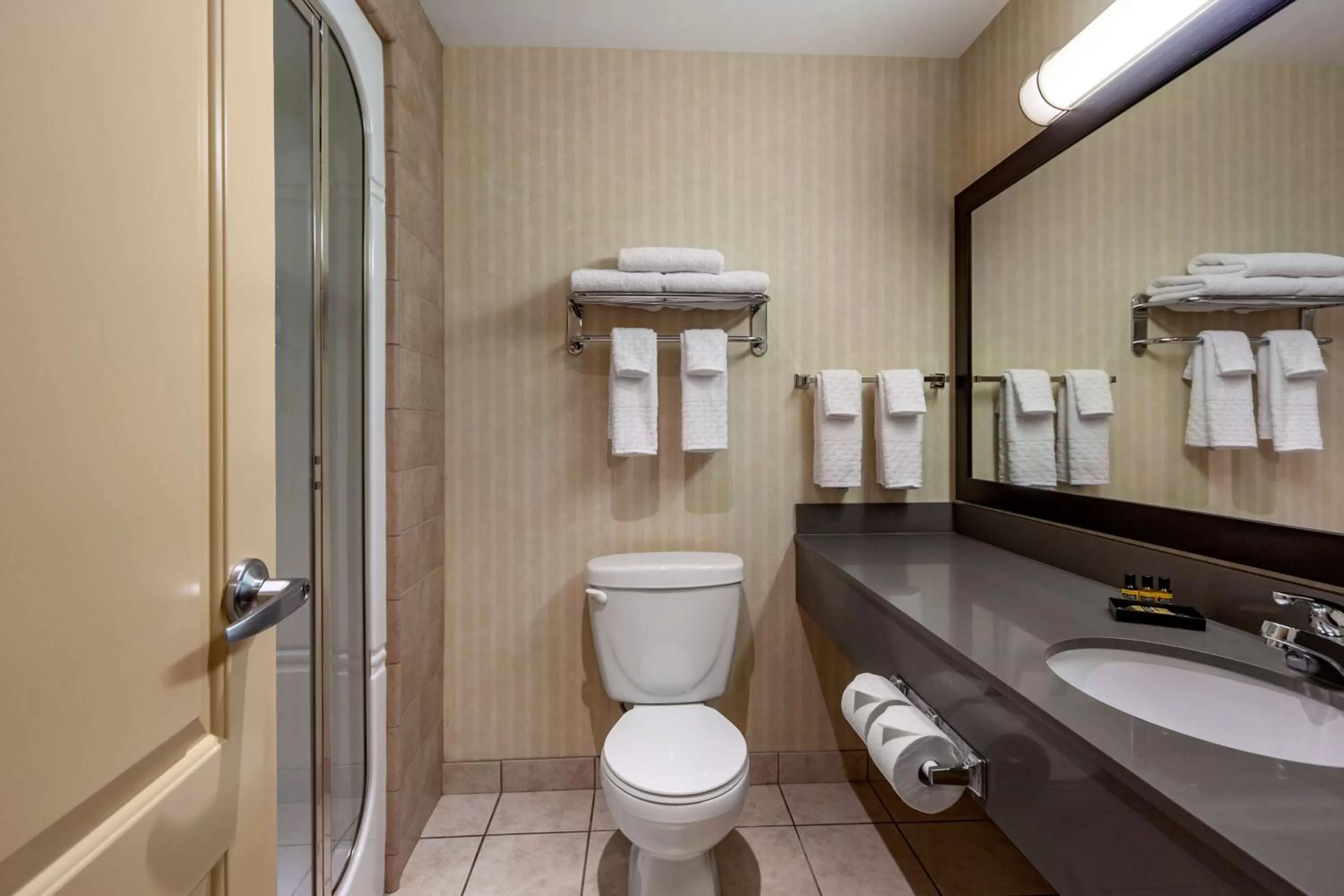 Bathroom in Best Western Plus Meridian