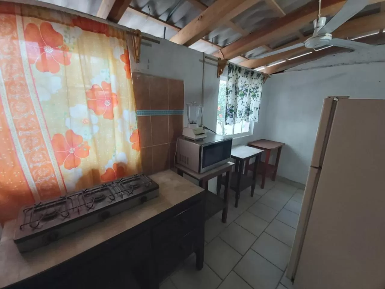Kitchen or kitchenette, Bathroom in Hotel Ayalamar Manzanillo