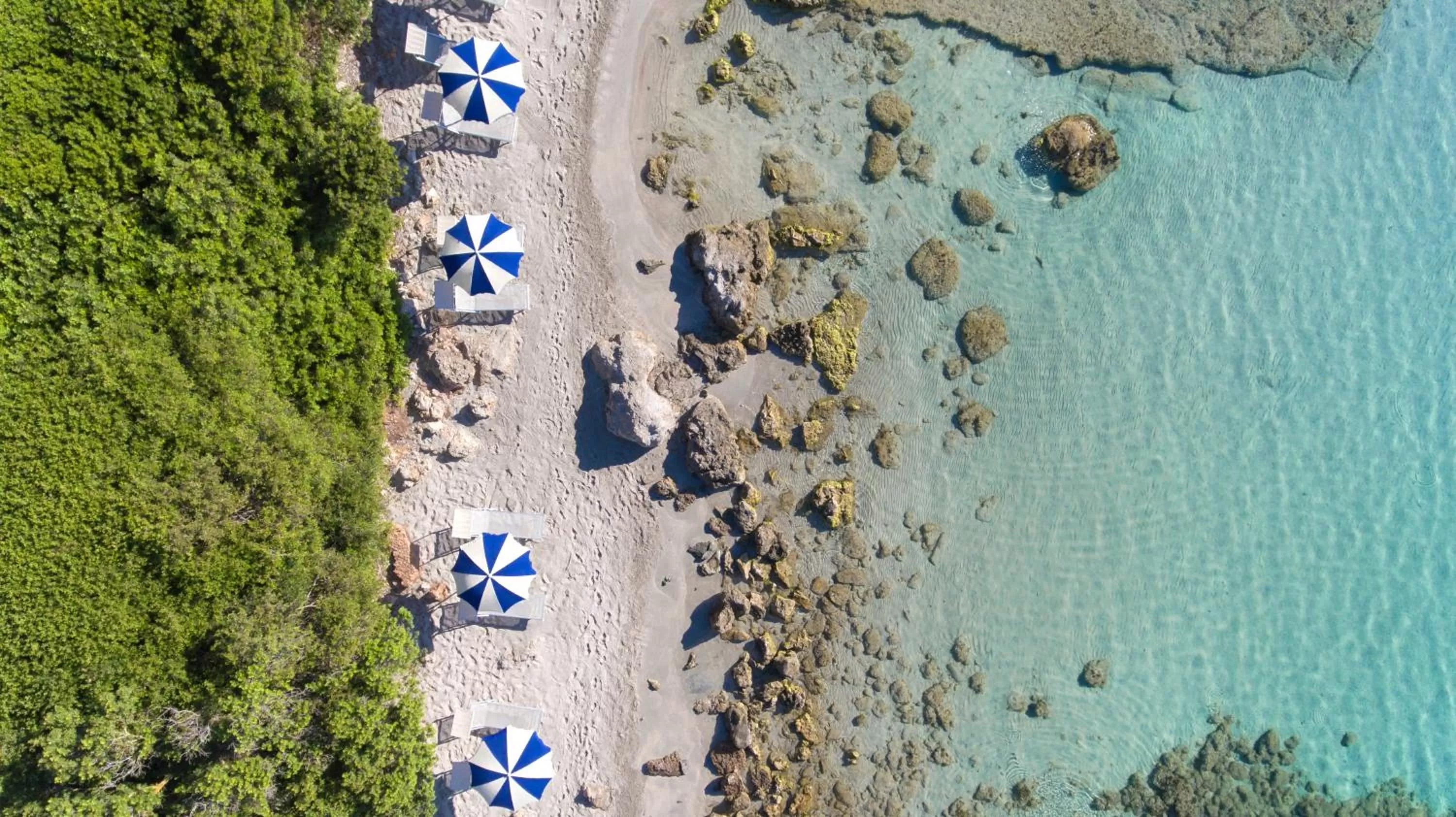 Beach in Hotel Dei Pini