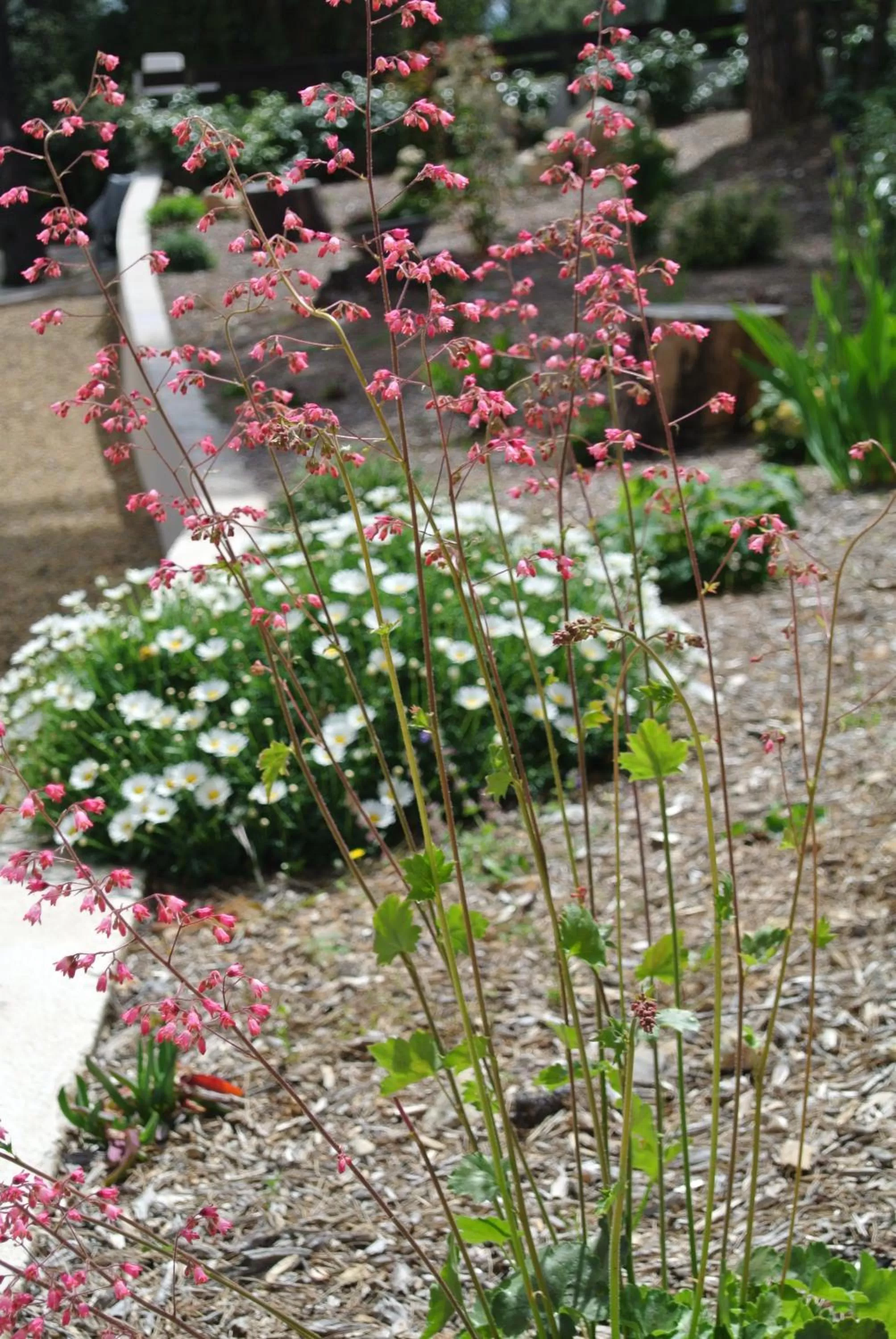 CARPE DIEM Résidence Hôtelière