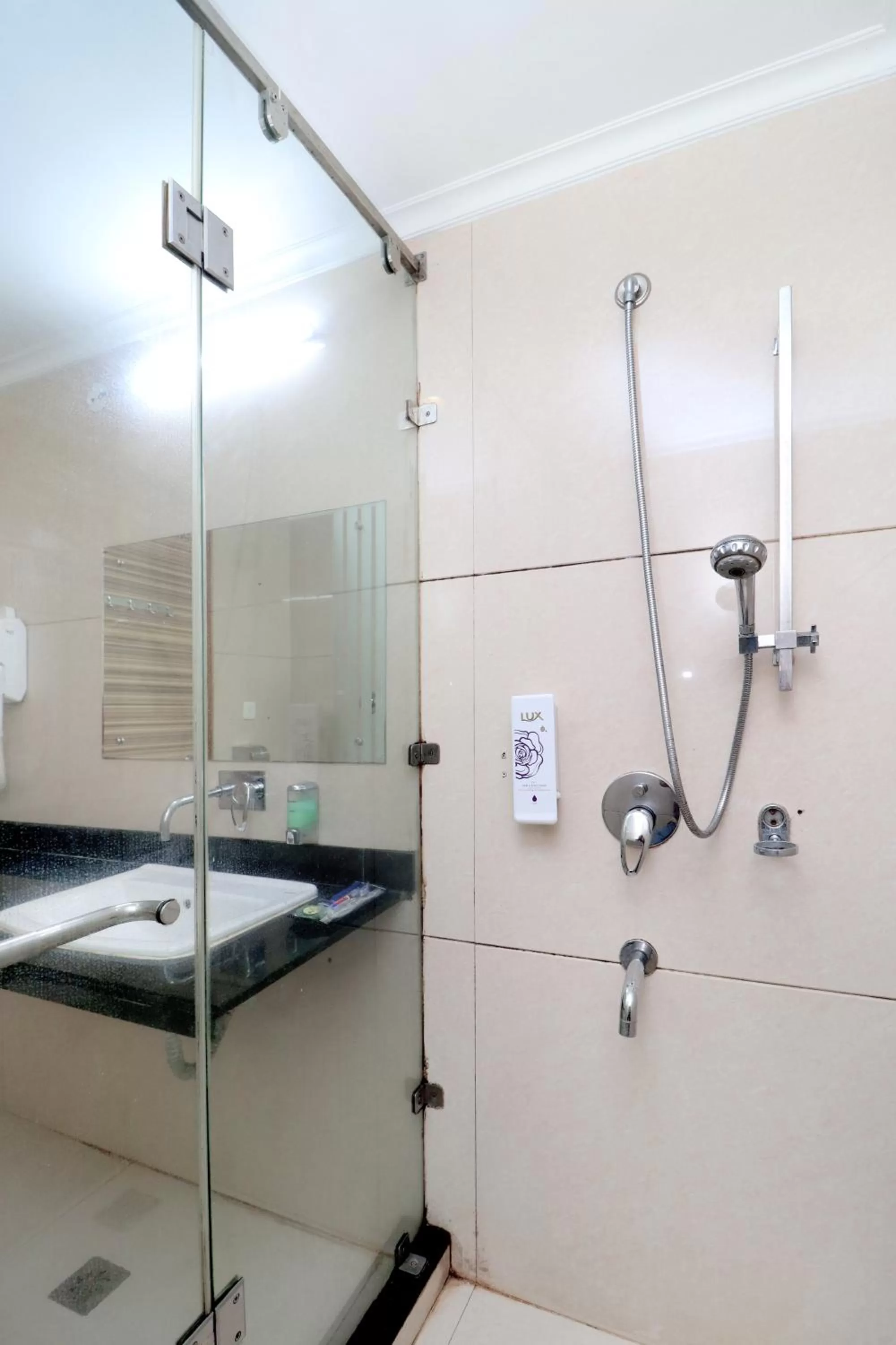 Bathroom in Hotel Rajshree & Spa