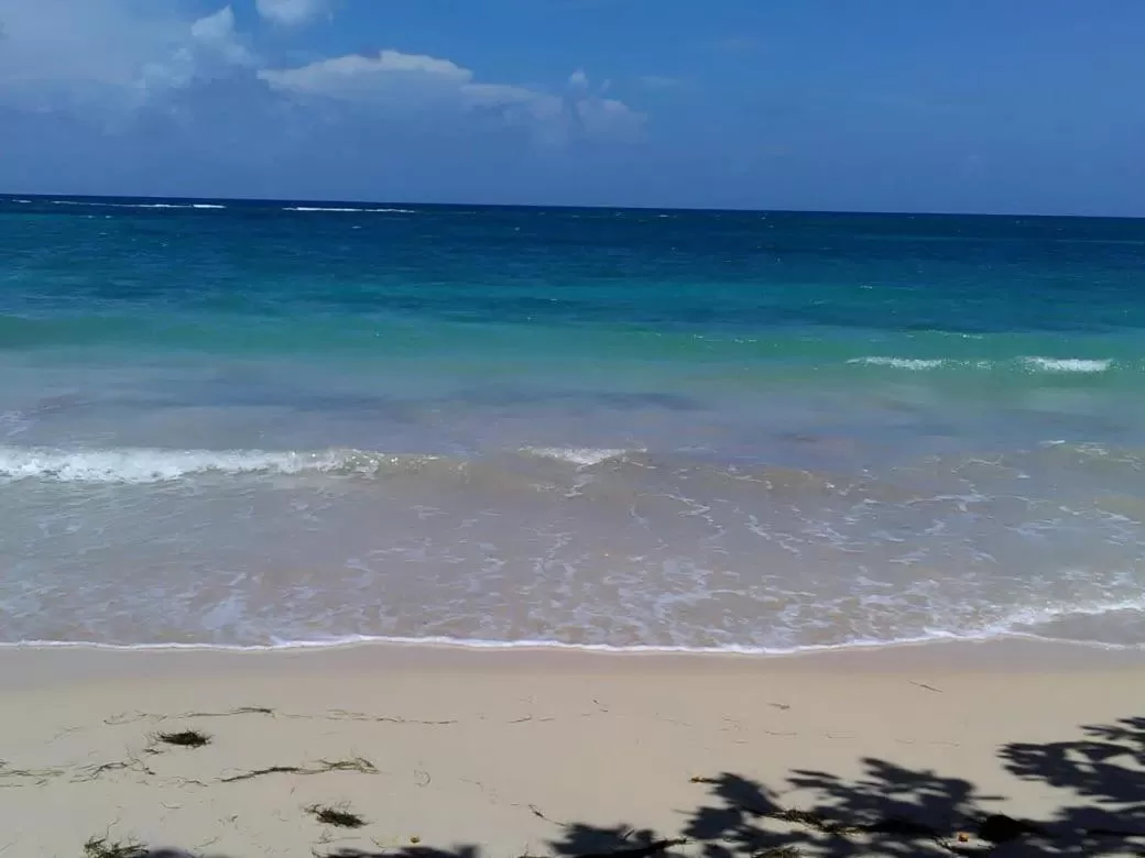 Beach in Port Antonio Brian's Beach House
