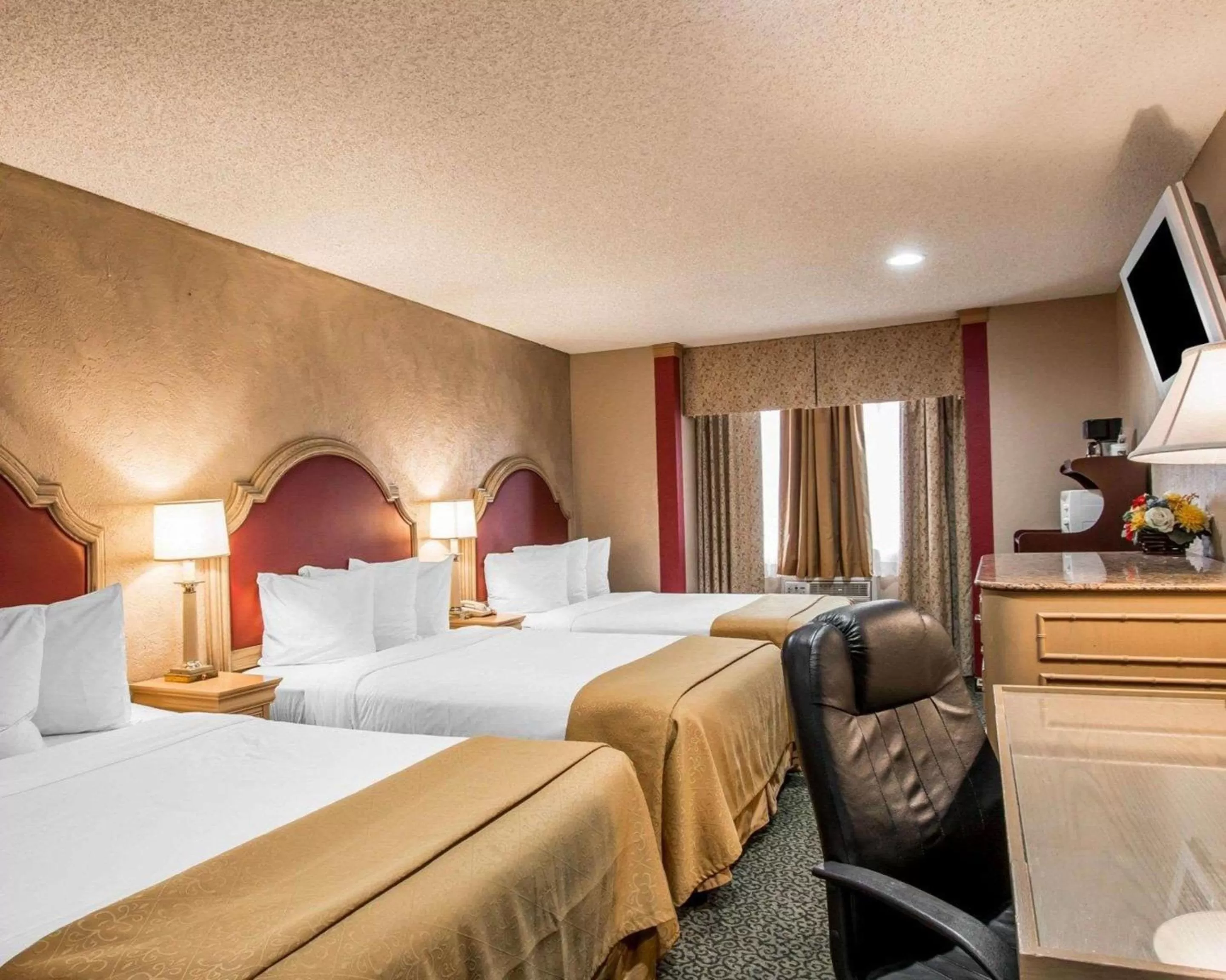 Photo of the whole room, Bed in Hotel Baja San Diego