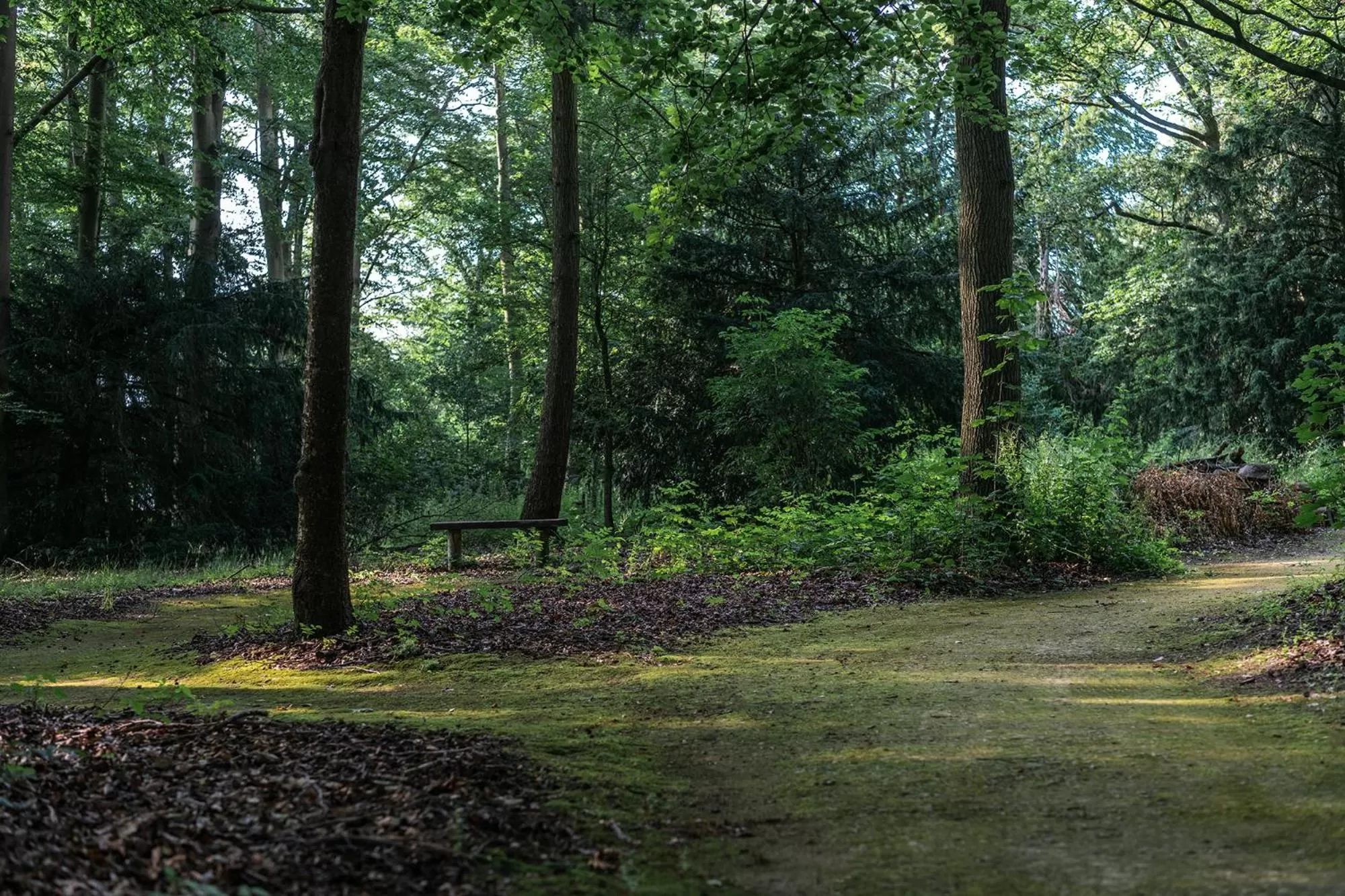 Garden in Hoar Cross Hall