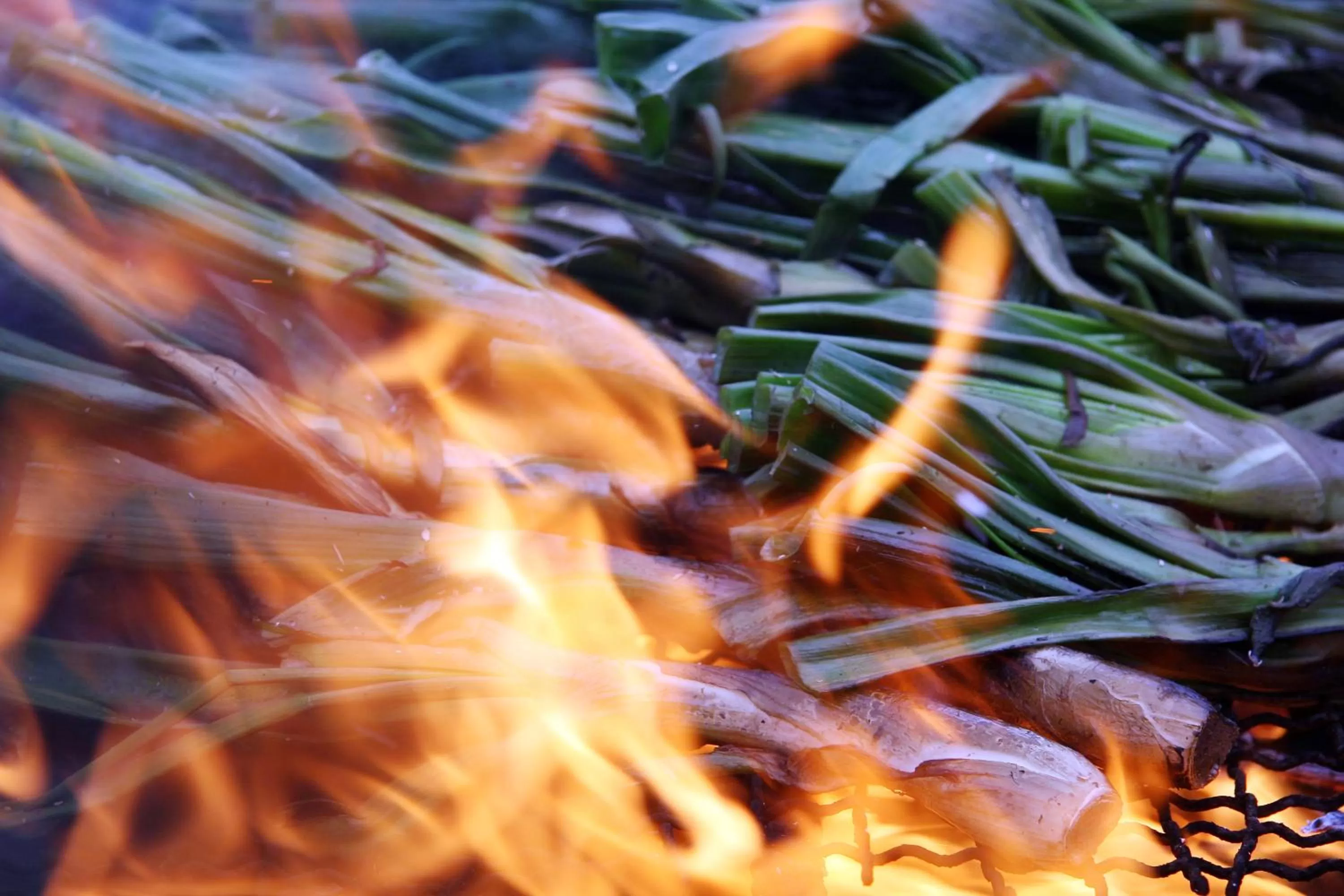 Meals in Hotel Class Valls