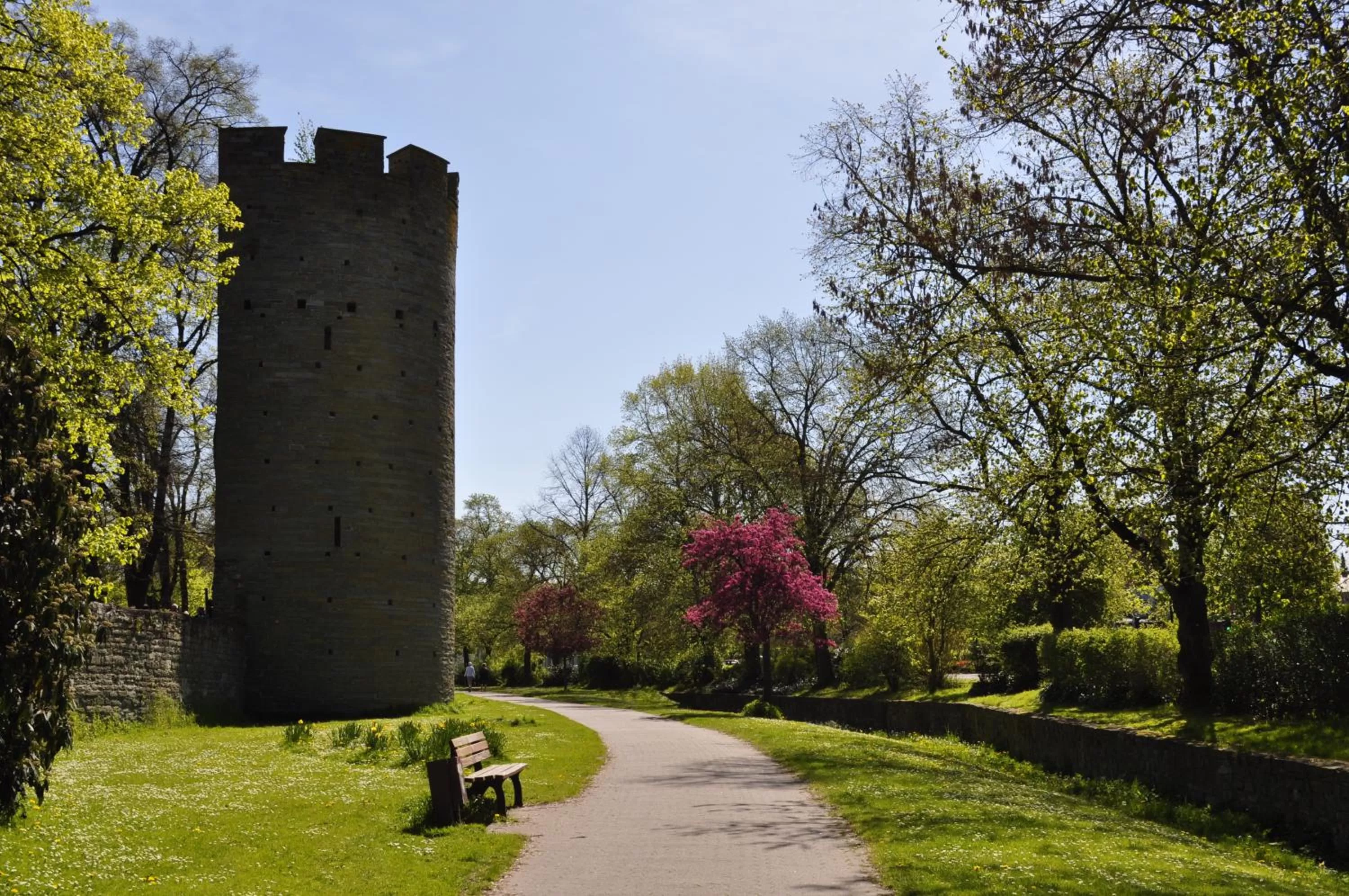 Garden view in Hotel am Wall