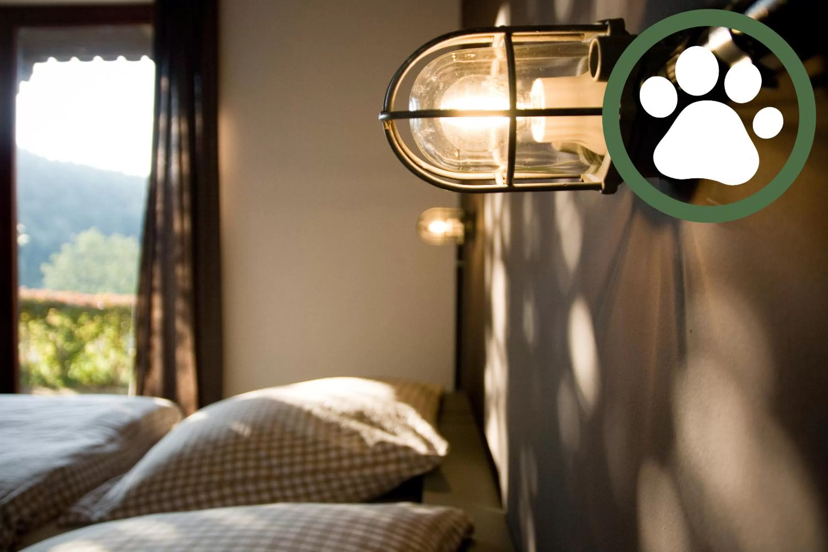 Double Room with Terrace in Harz BnB Werkmeister