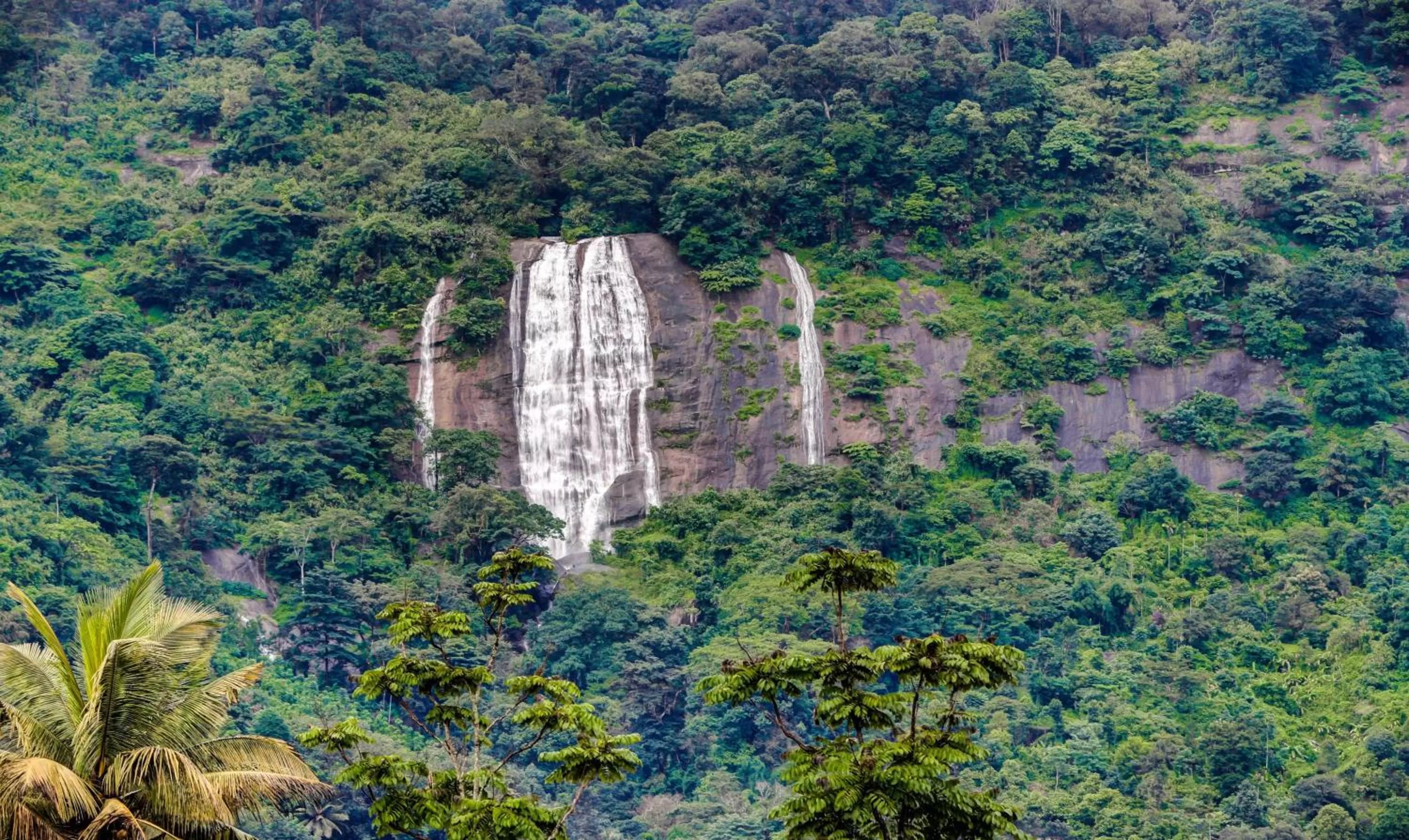 View (from property/room) in Misty Garden Resort and SPA
