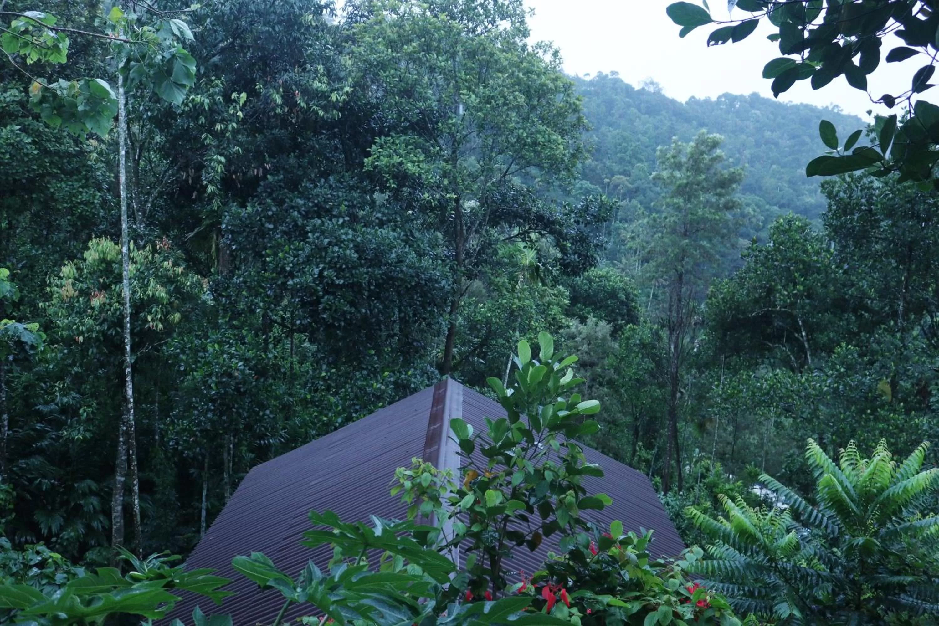 View (from property/room) in Edens Munnar