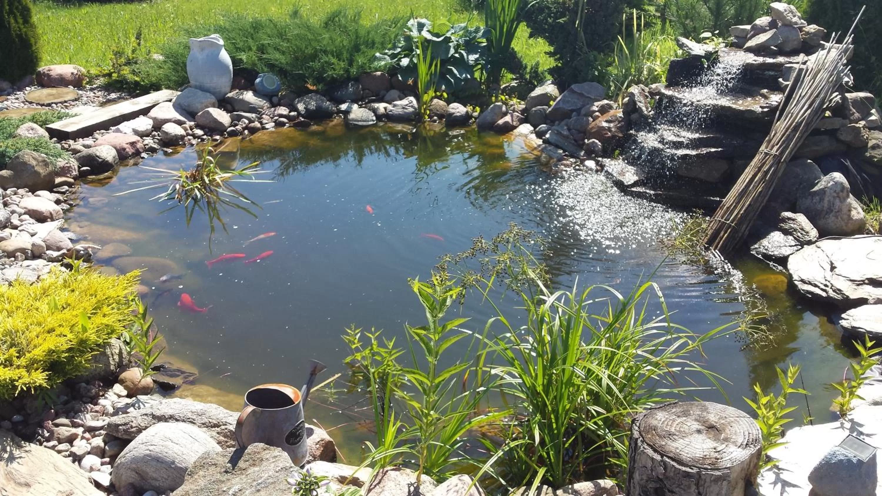 Garden, Other Animals in Pokoje Gościnne Magnolia Rooms