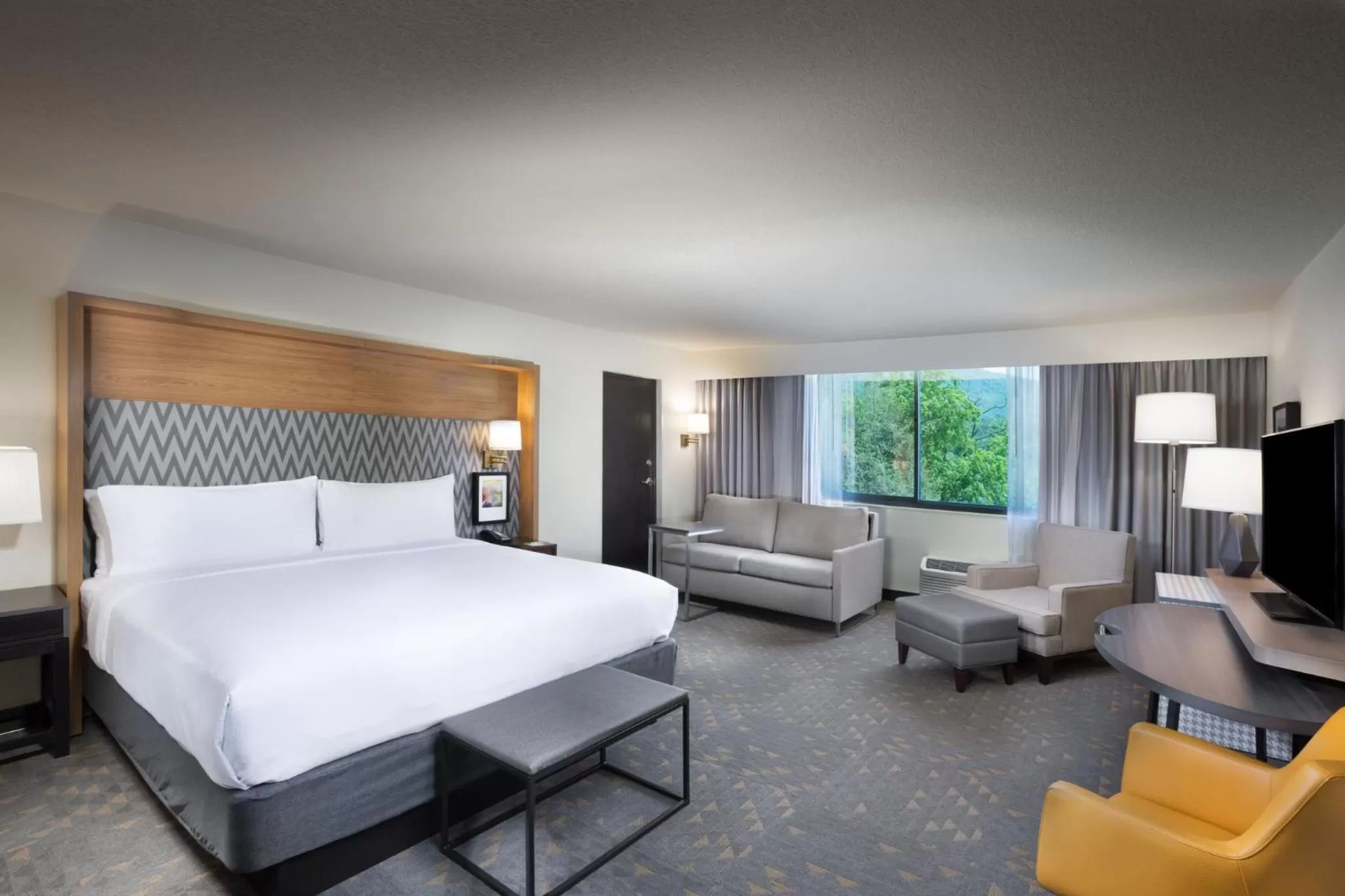 Photo of the whole room, Bed in Holiday Inn Asheville East-Blue Ridge Pkwy by IHG
