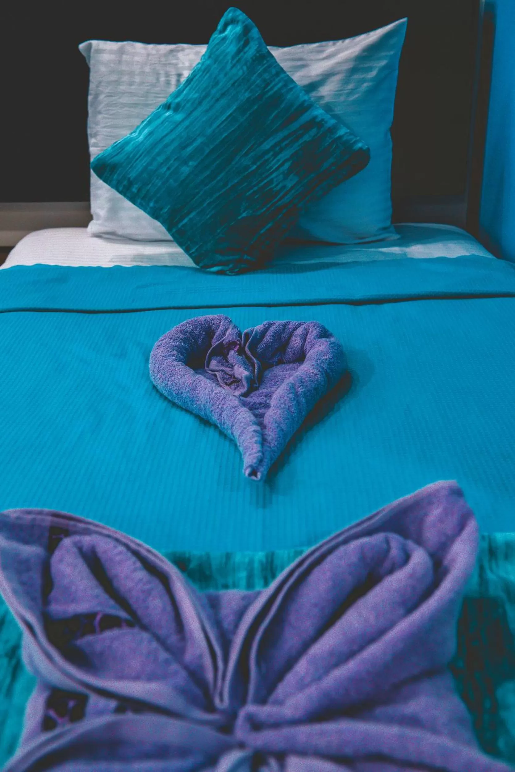 Bed in Seaview Panorama Boatel