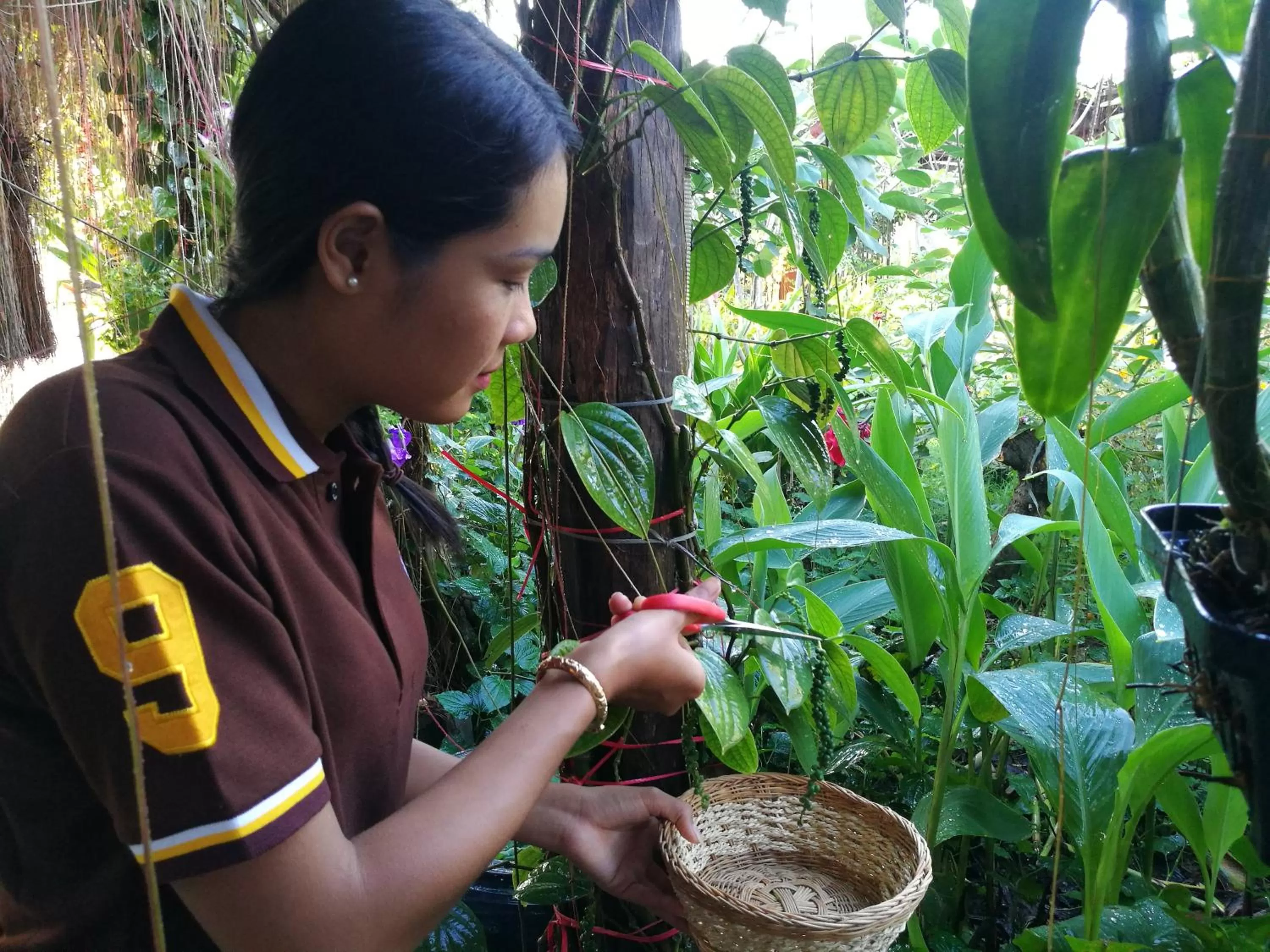 Garden in RaVorn Villa Boutique