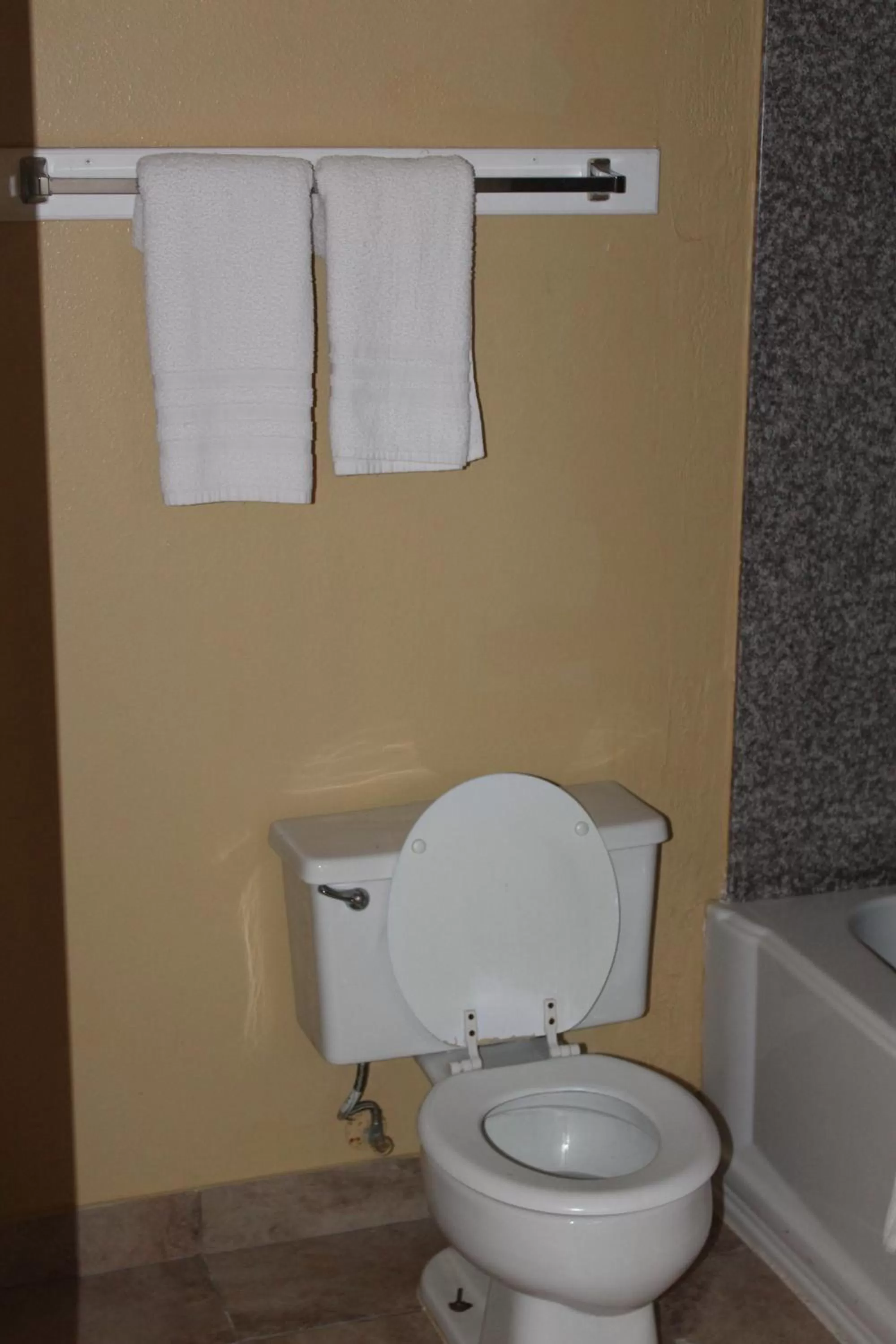 The Executive Inn & Suites