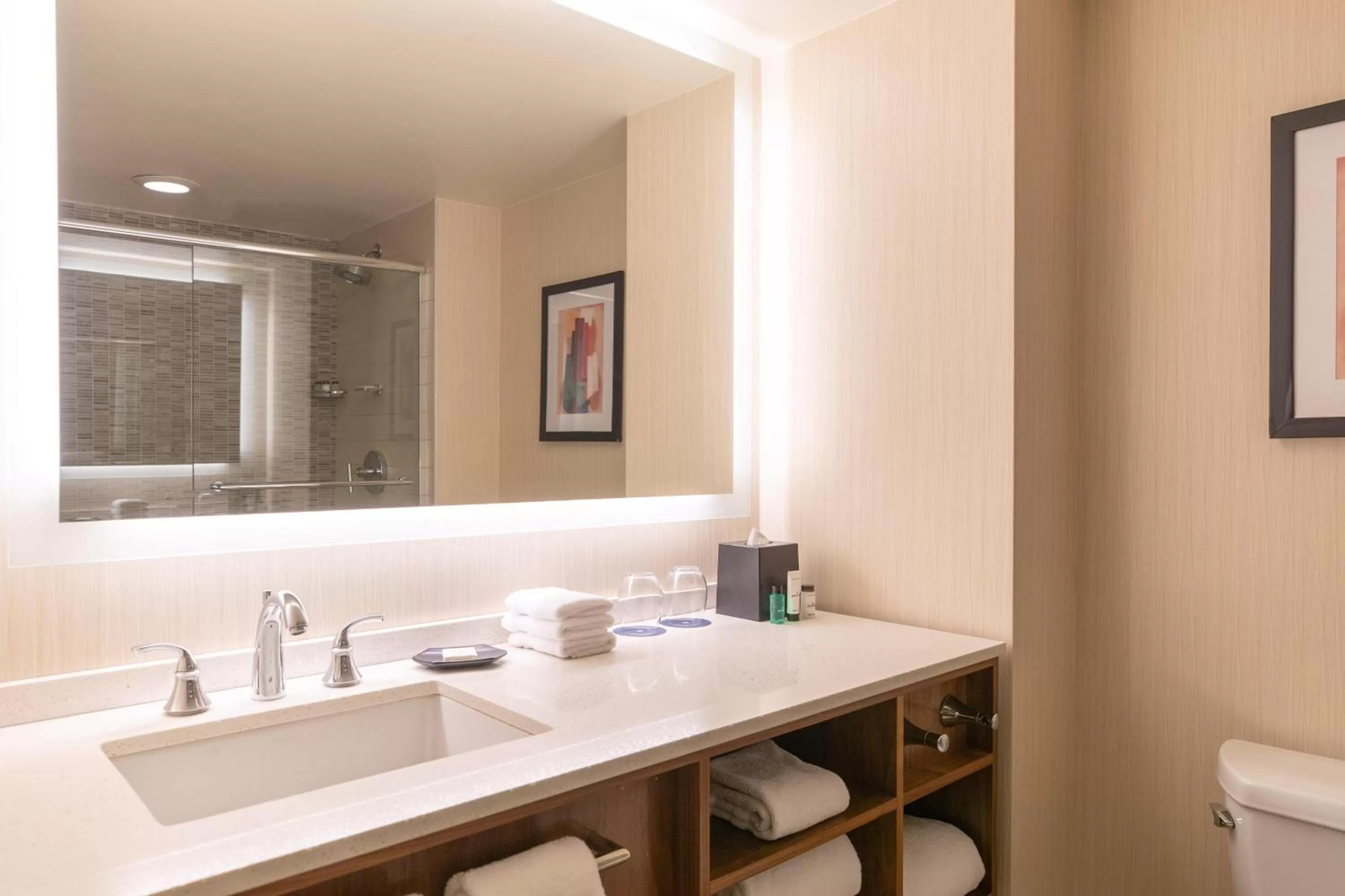 Bathroom in Sheraton Grand Chicago Riverwalk