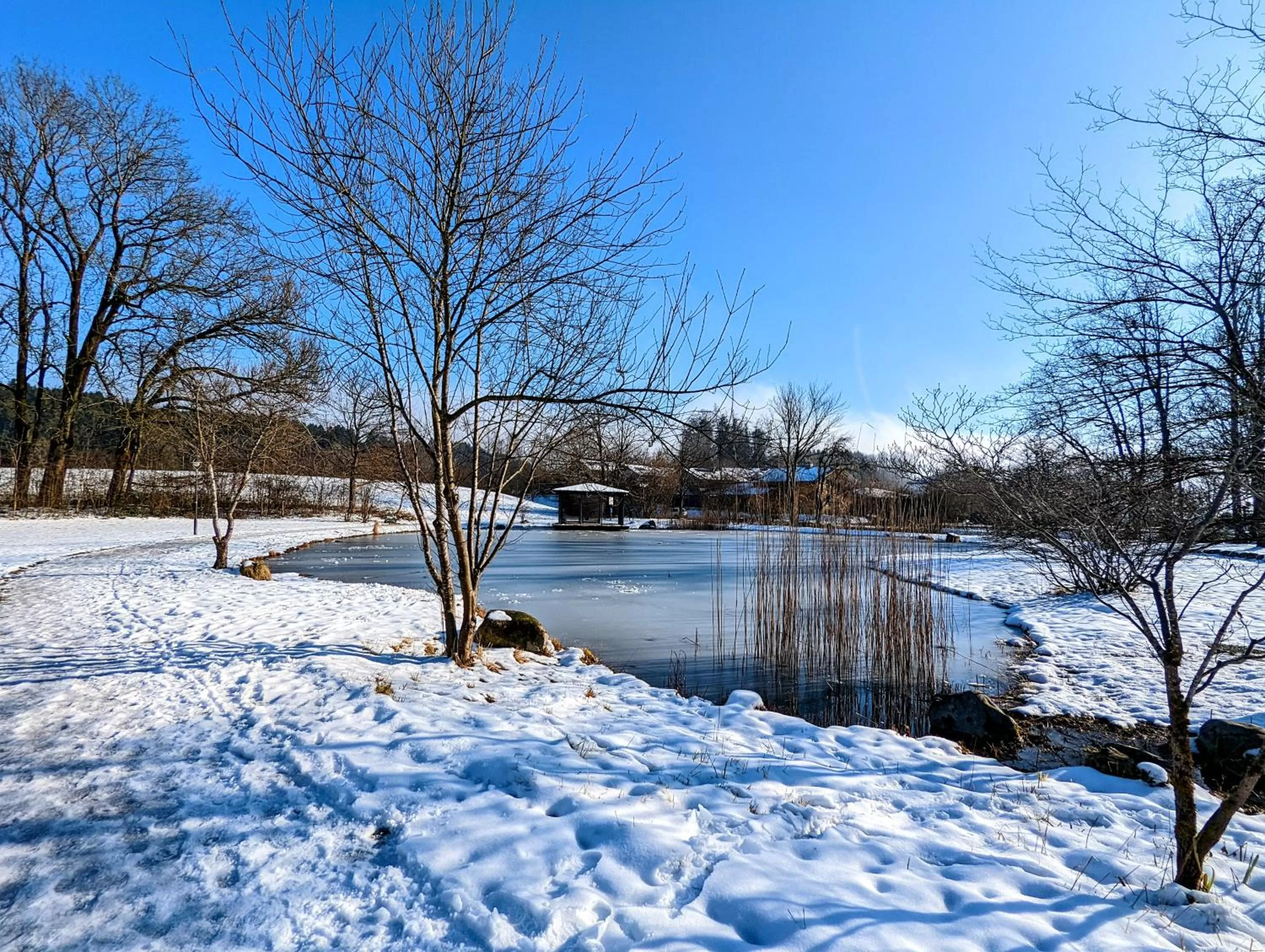 Staff in Ströbinger Hof - Therme Wellness Resort