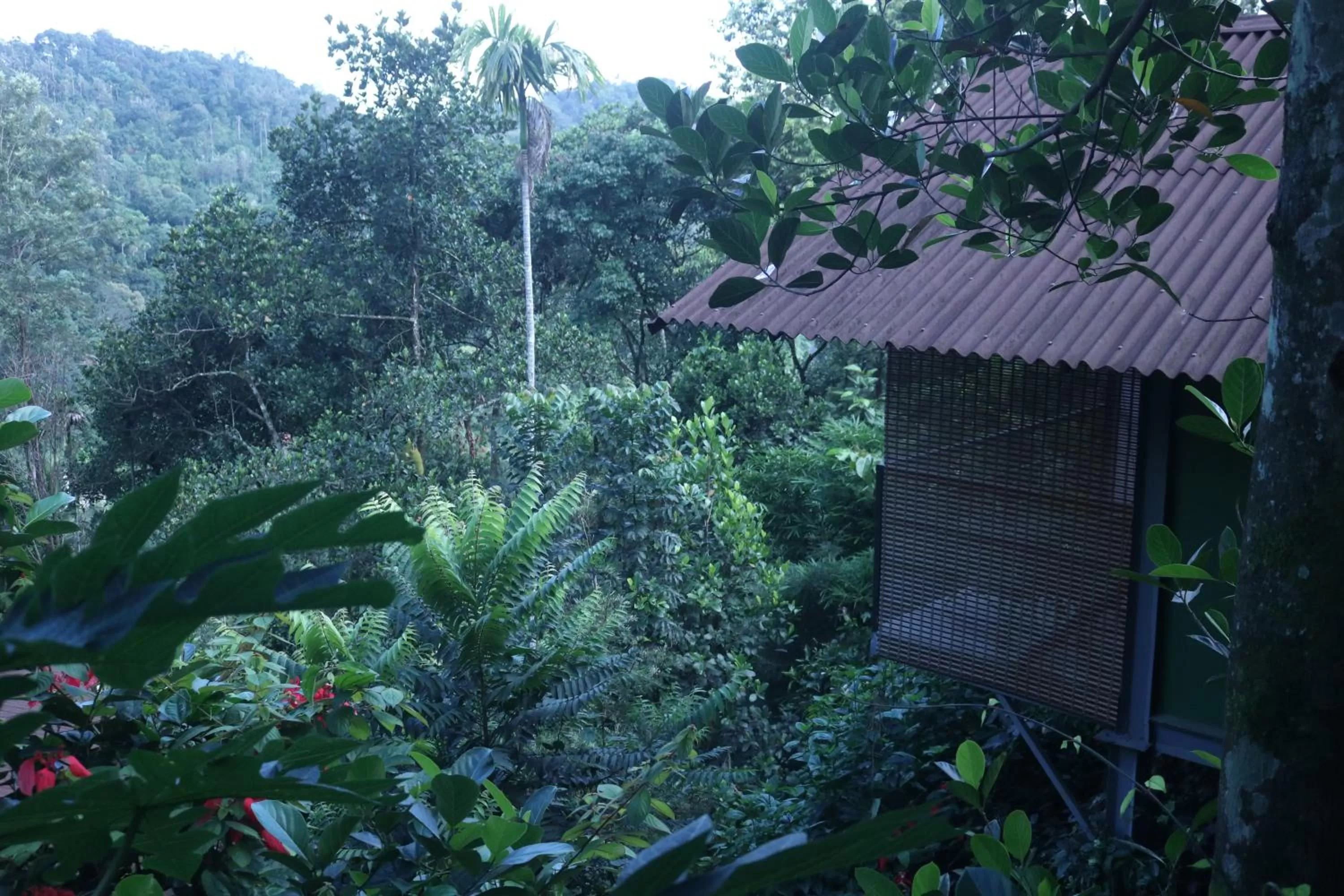 Property building in Edens Munnar