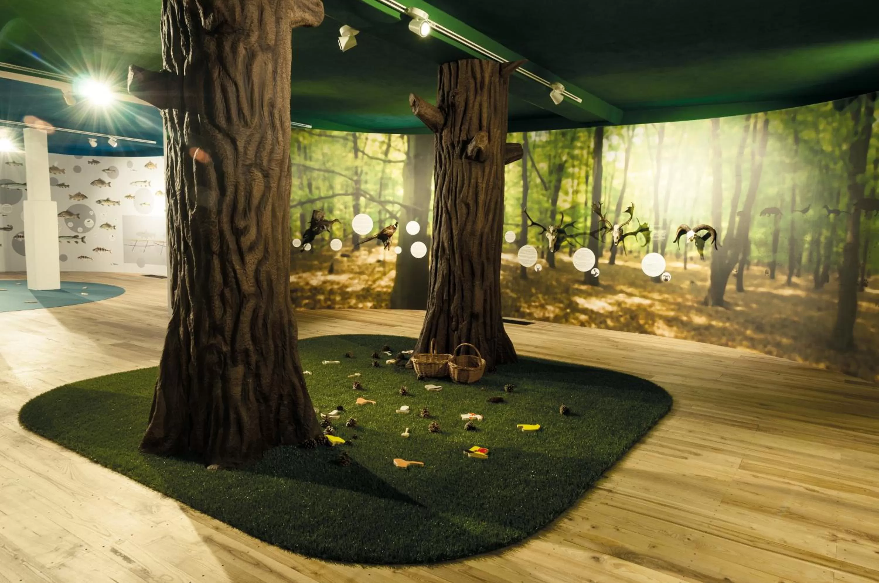 Activities in Penzion Panský dvůr Telč