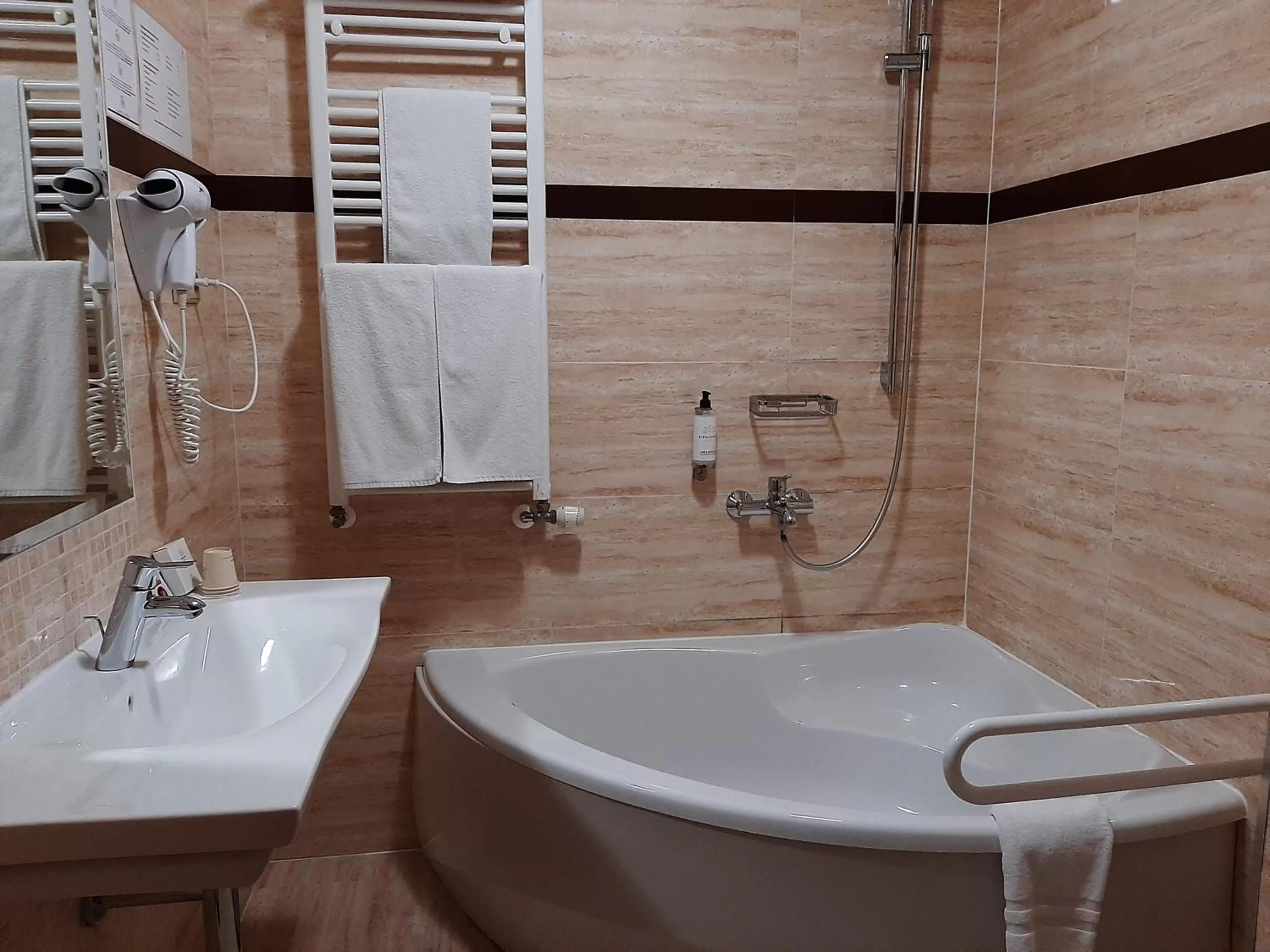 Bathroom in Hotel 1231