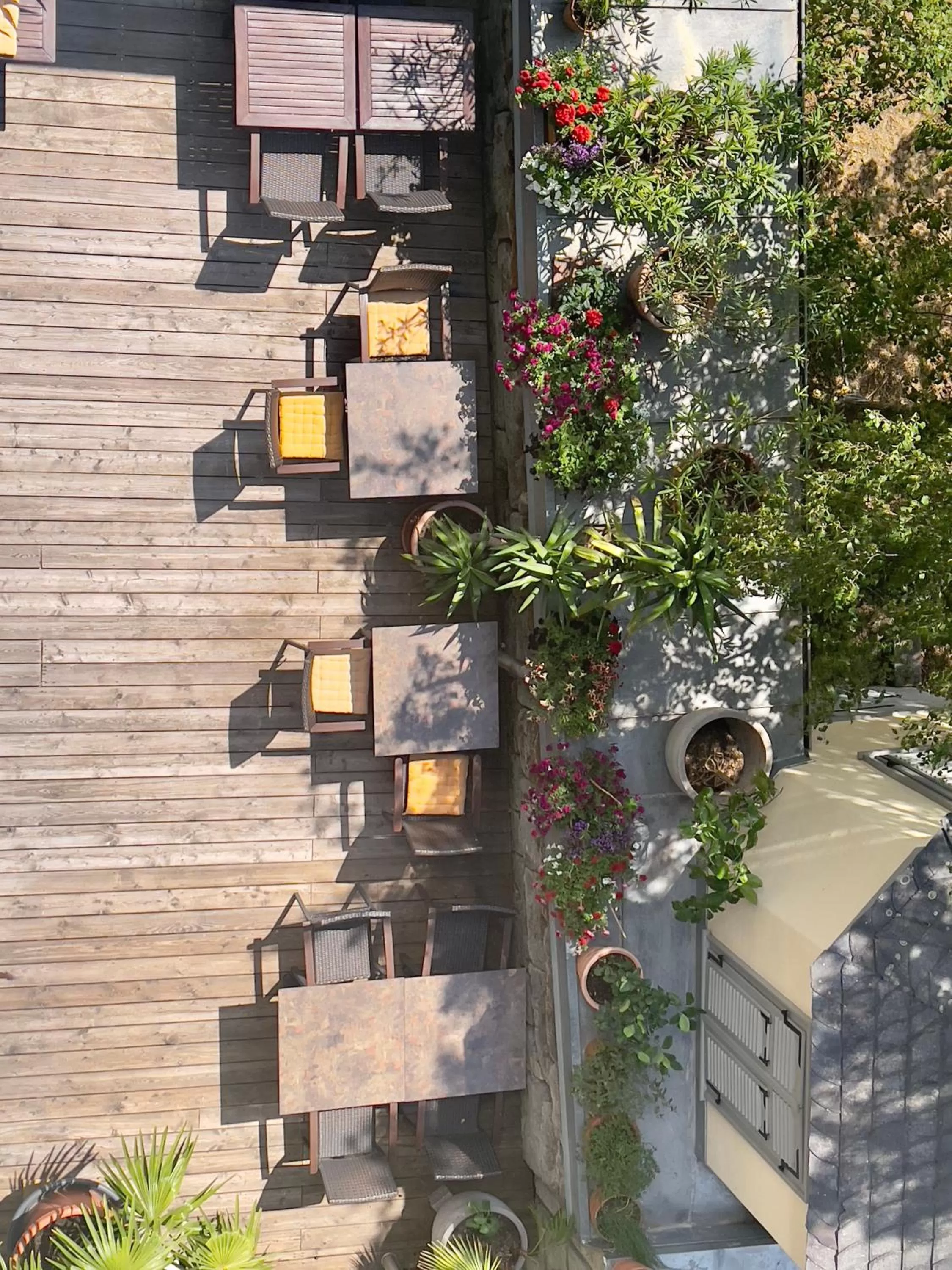 Garden in Hotel Central