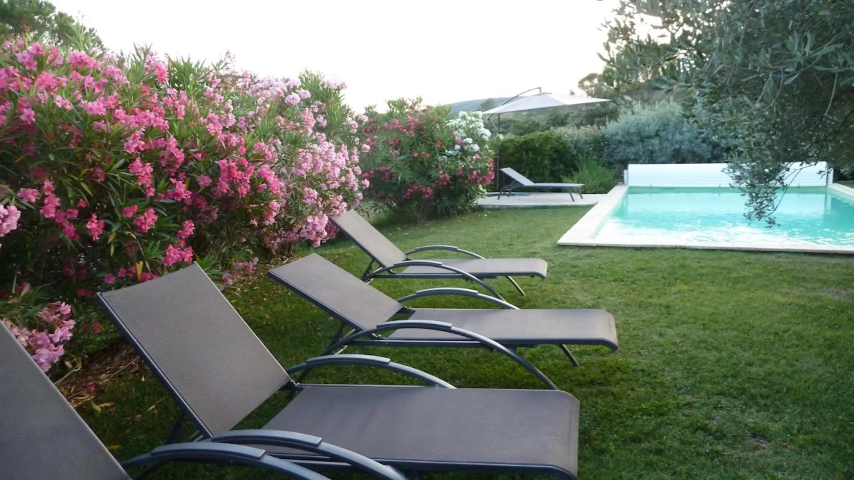 Swimming pool, Patio/Outdoor Area in Mas de l'Olivette