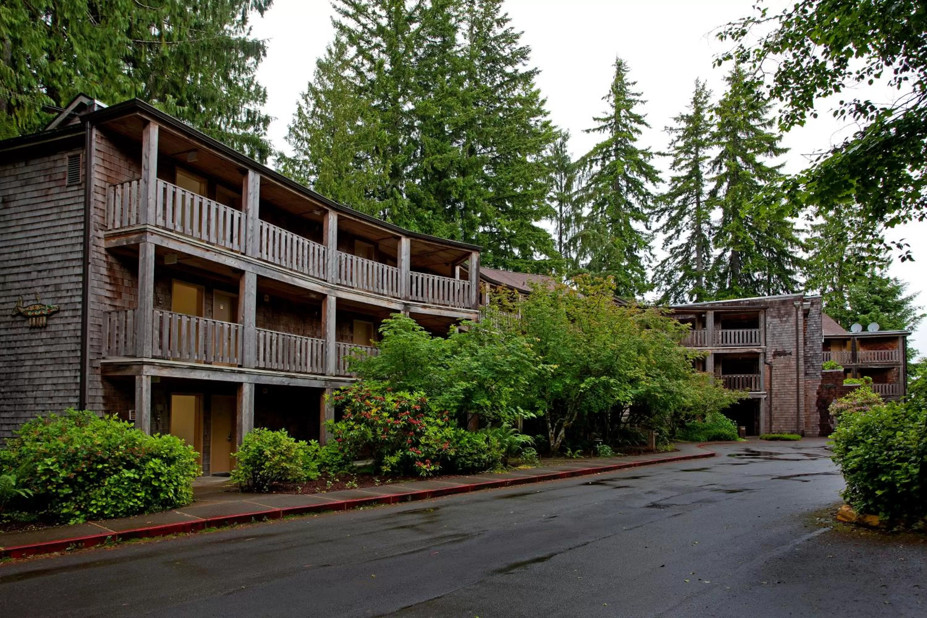 Other in Lake Quinault Lodge